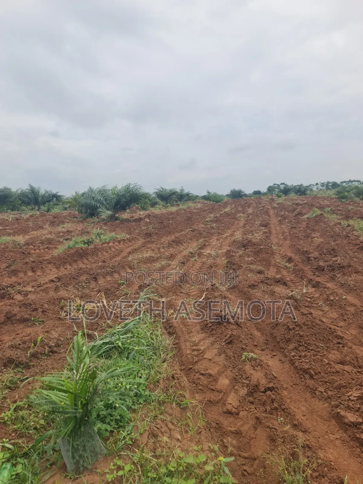 Plot Palm Rich Estate Phase 7, Ado-Odo, Ota in Ado-Odo/Ota