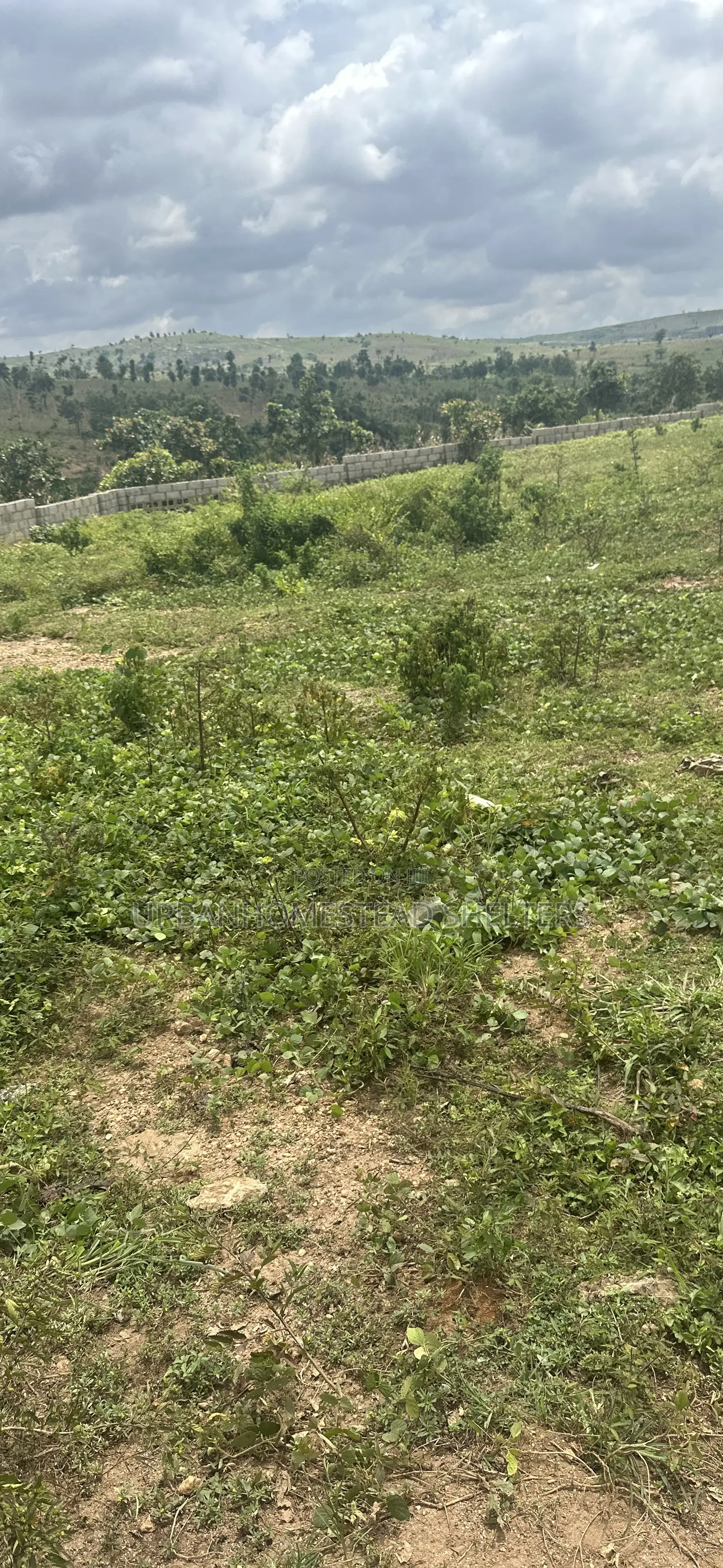 Imperial Villa Apo Tyifa in Apo District