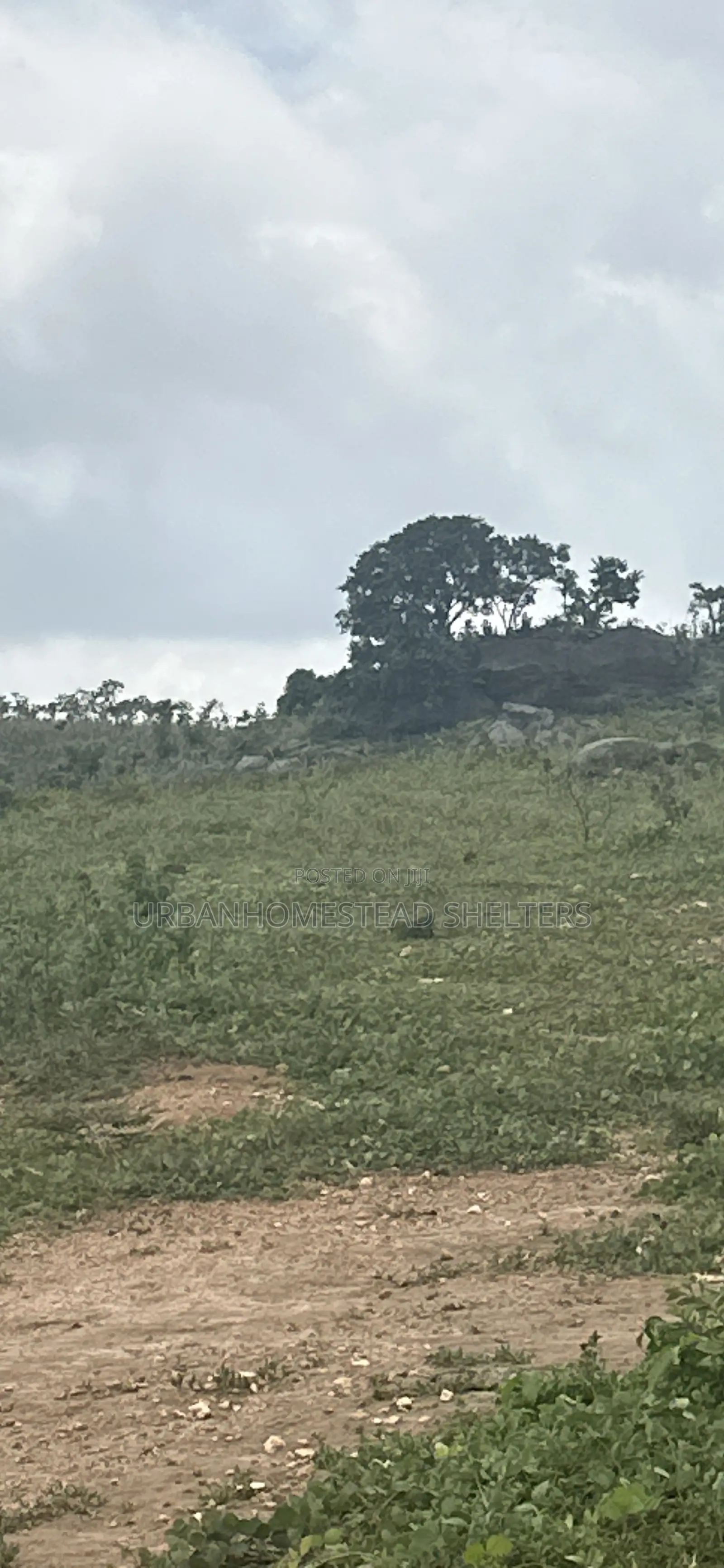 Imperial Villa Estate Apo Tyifa in Apo District