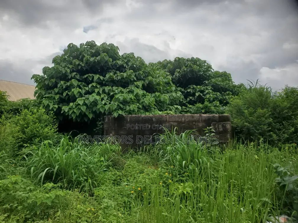 Residential Land for Sale in Oshimili North