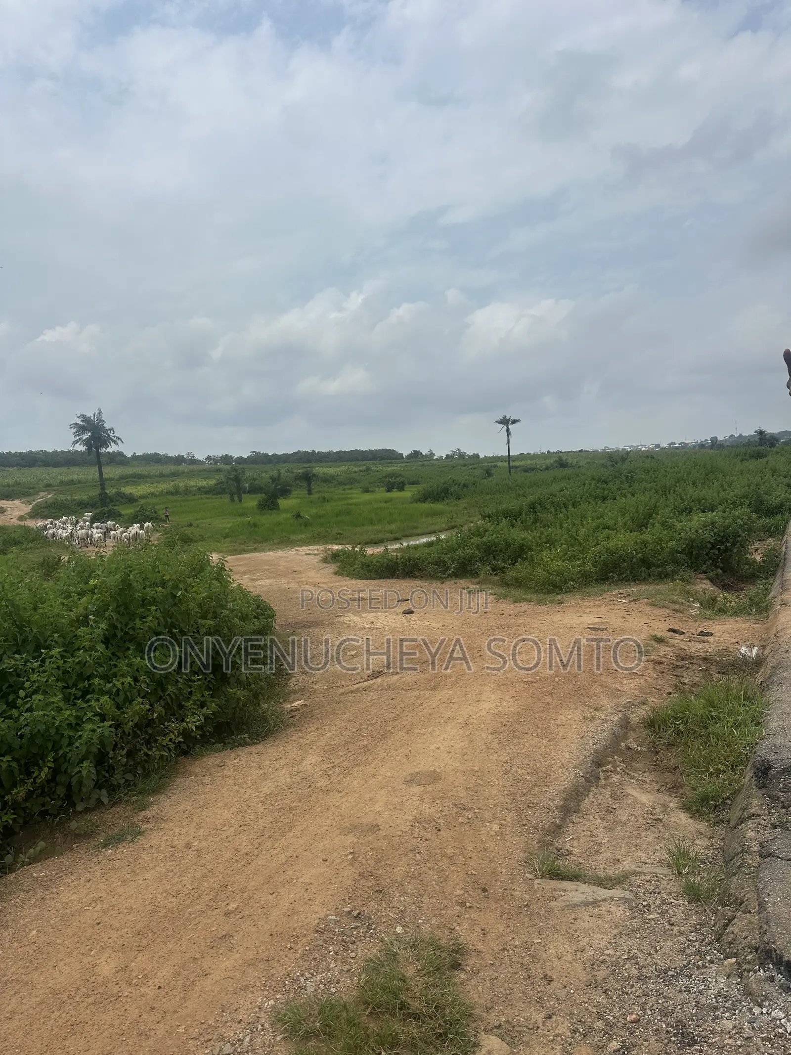 500SQM Estate Land 5 Bedroom Fully Detached Duplex in Karsana