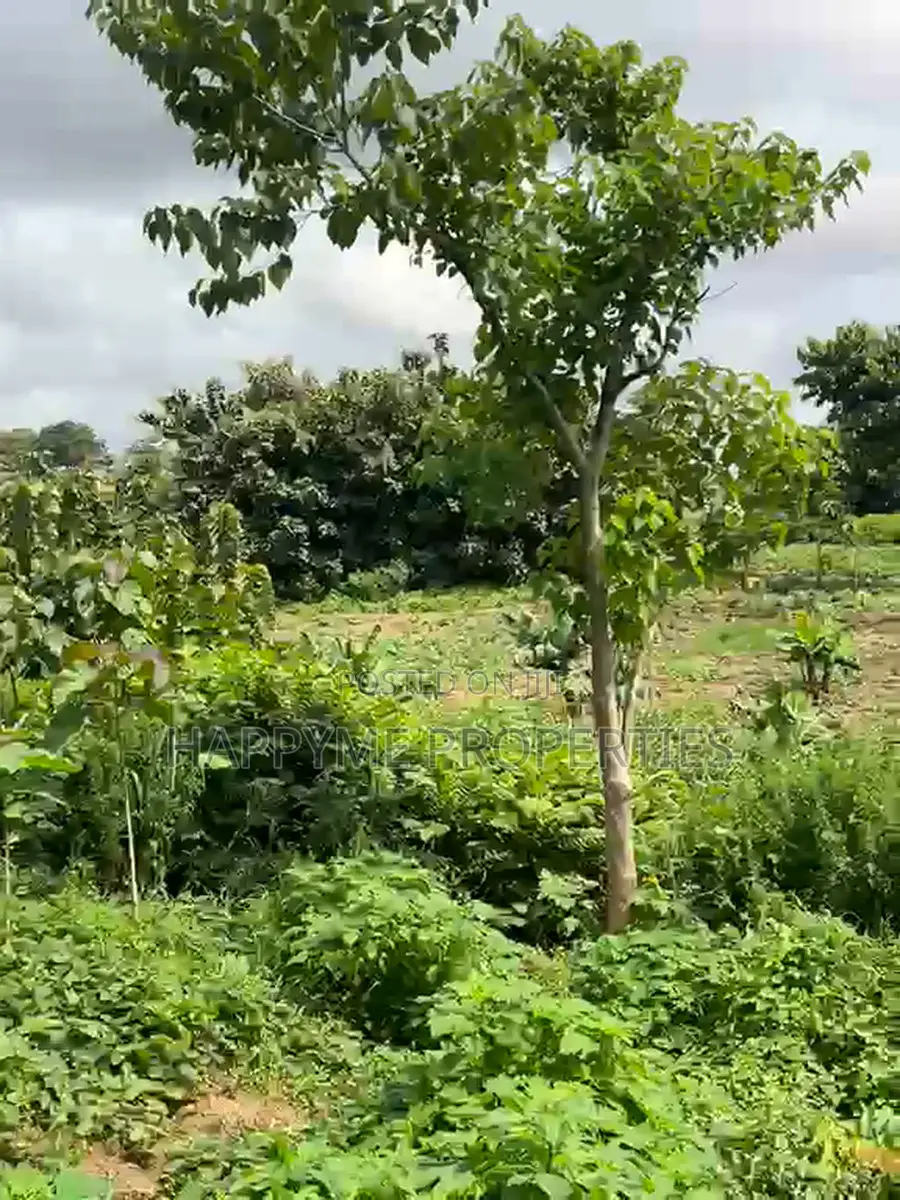 Distress Sale | 2 Prime Residential Plots in Durumi in Durumi