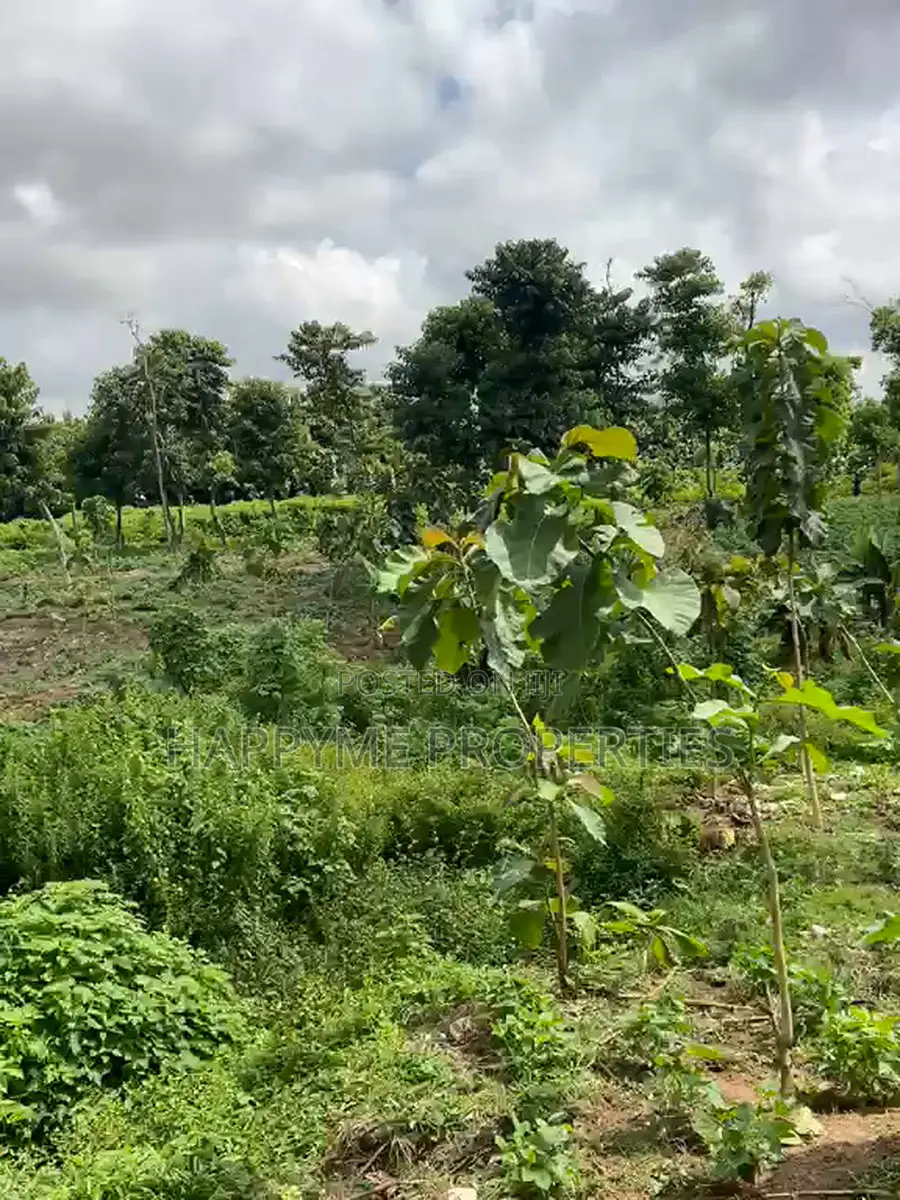 Distress Sale | 2 Prime Residential Plots in Durumi in Durumi