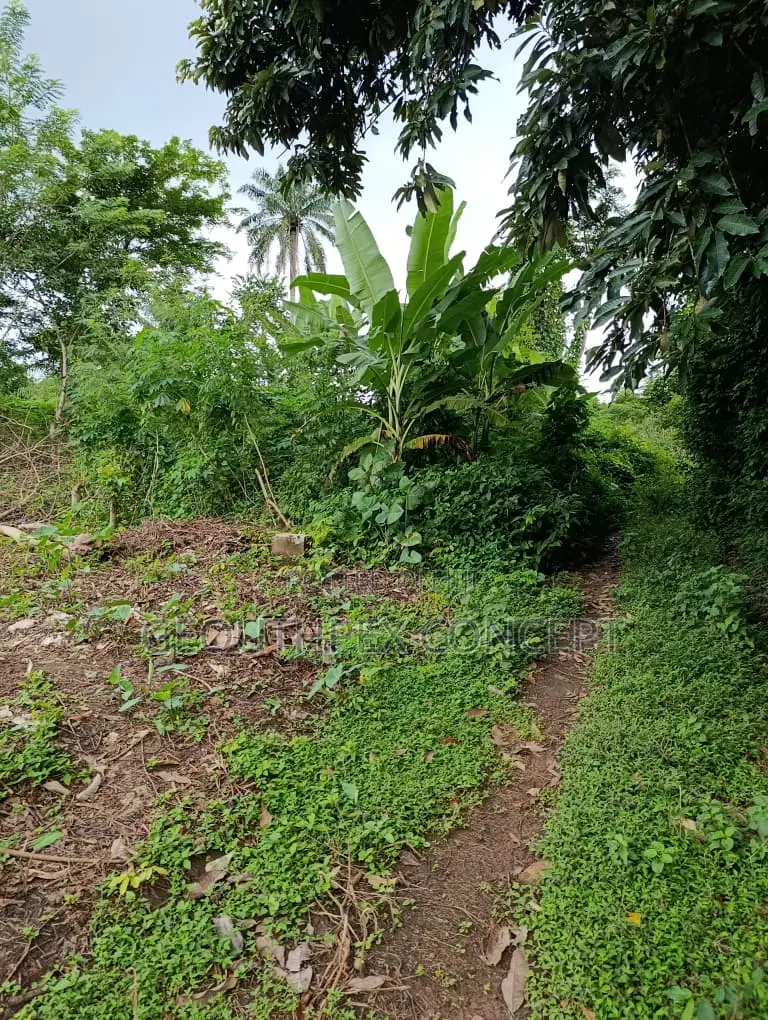 Residential Plots of Land in Moniya in Moniya