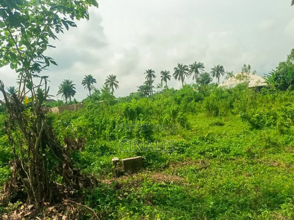 Mixed-Used Land for Sale in Moniya