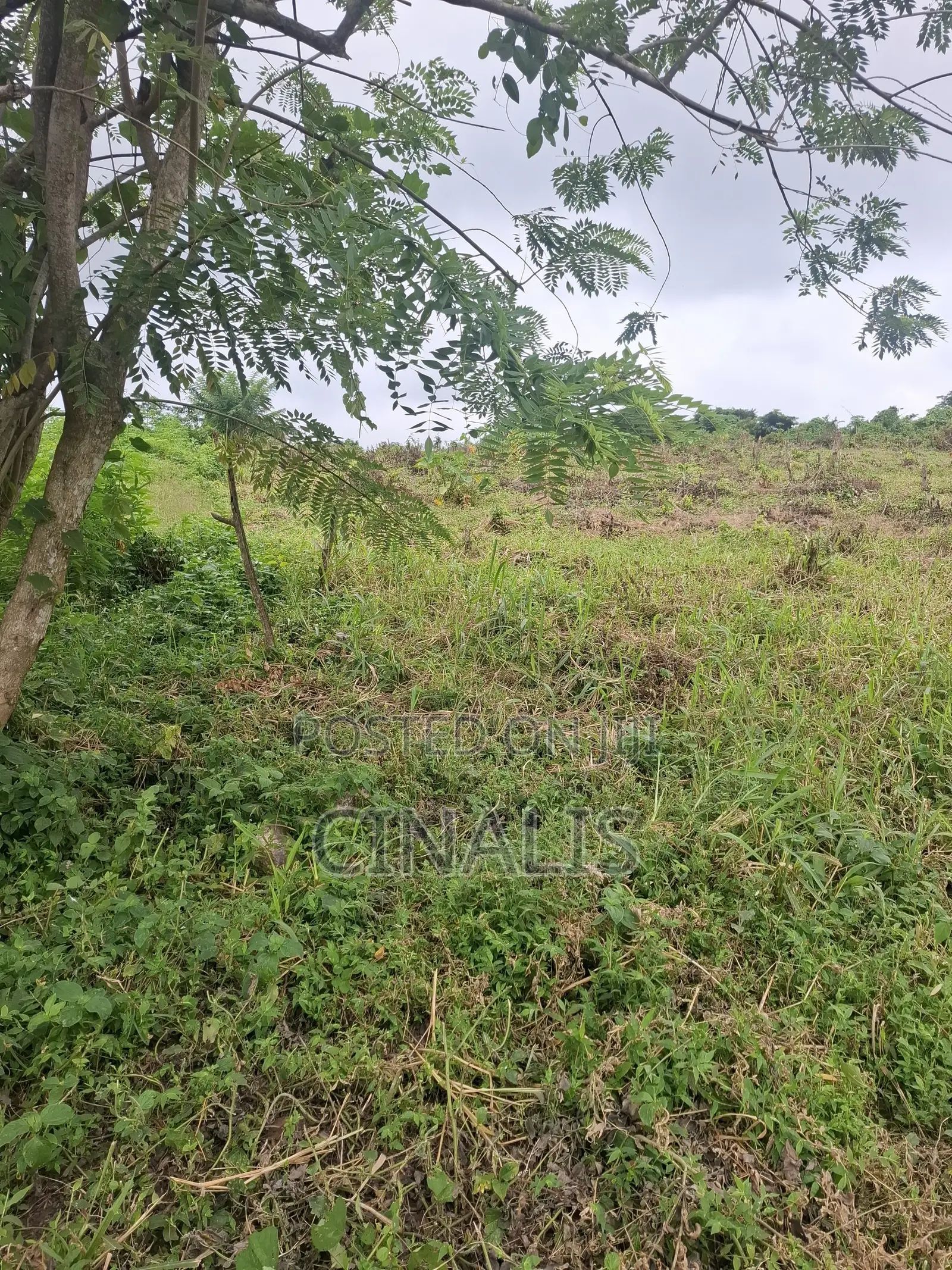 Residential Land With Registered Survey in Ido