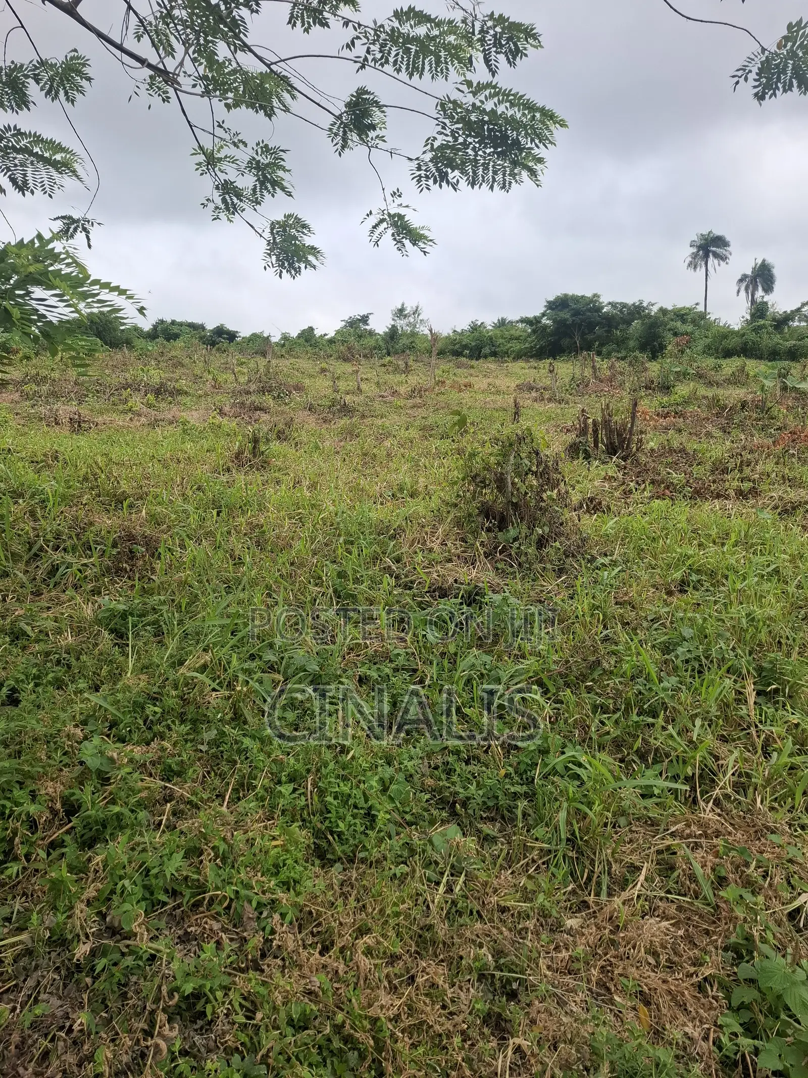 Residential Land With Registered Survey in Ido
