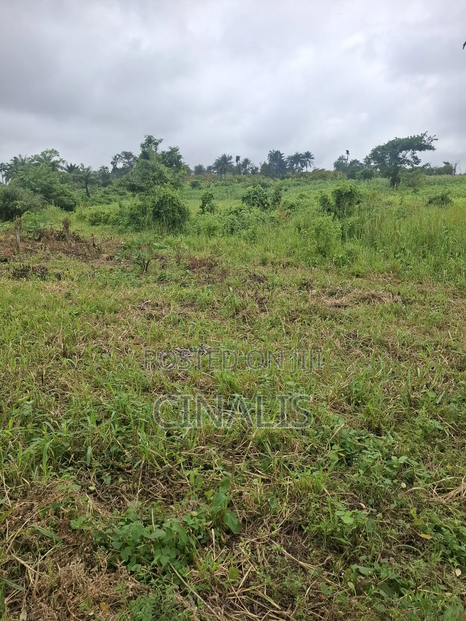 Residential Land With Registered Survey in Ido