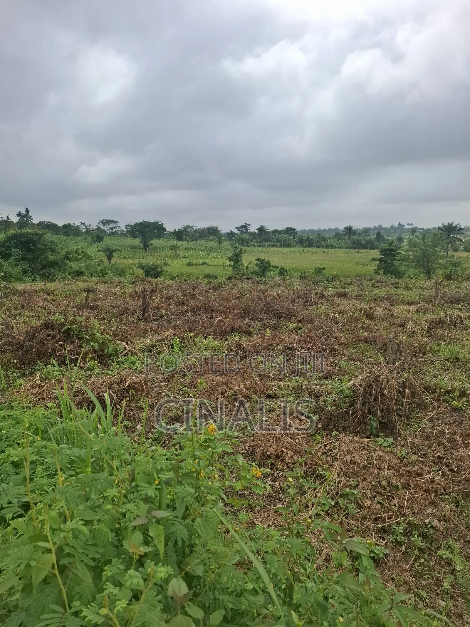 Mixed-Use Land With Deed of Assignment in Ido