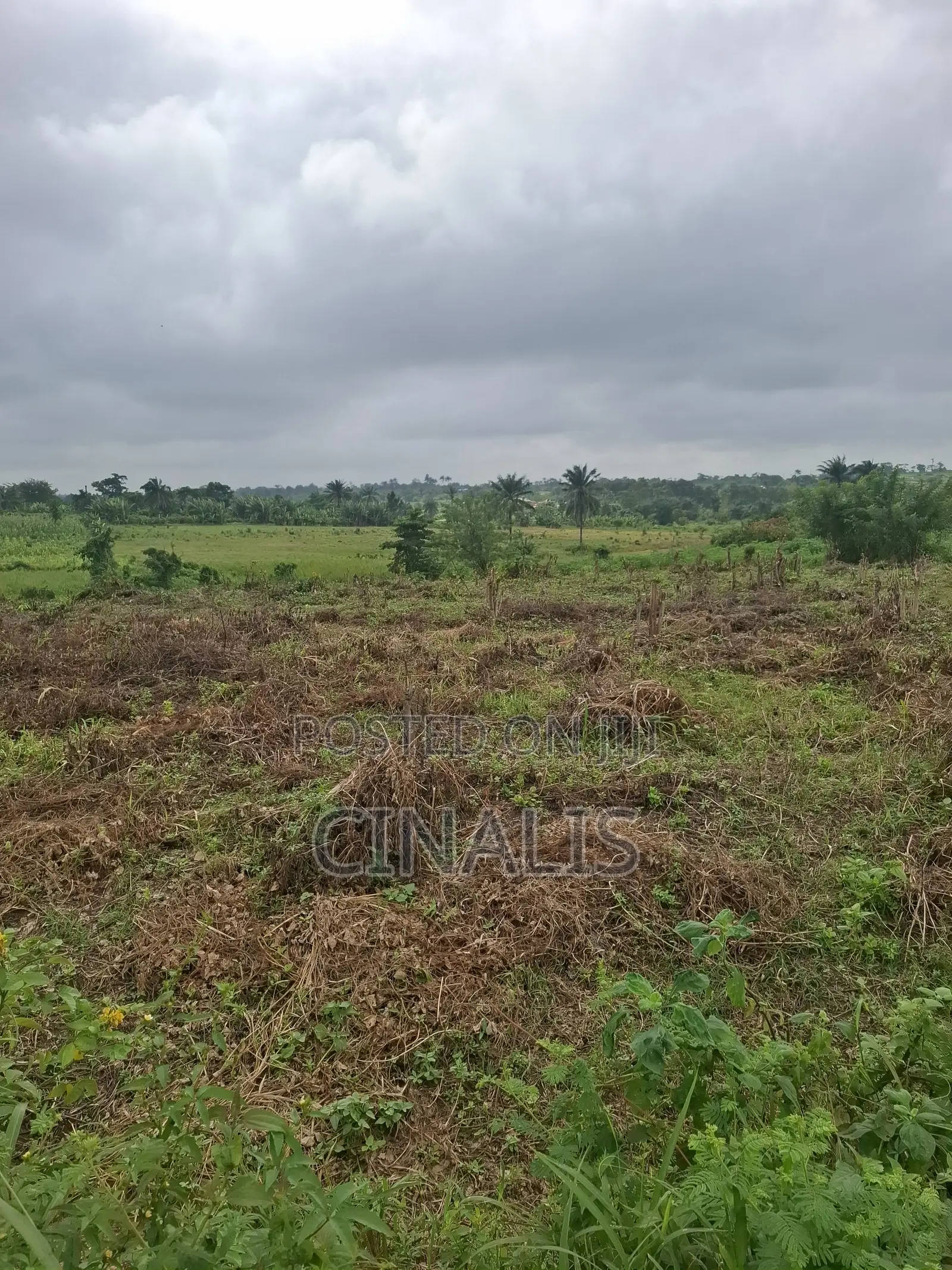 Mixed-Use Land With Deed of Assignment in Ido