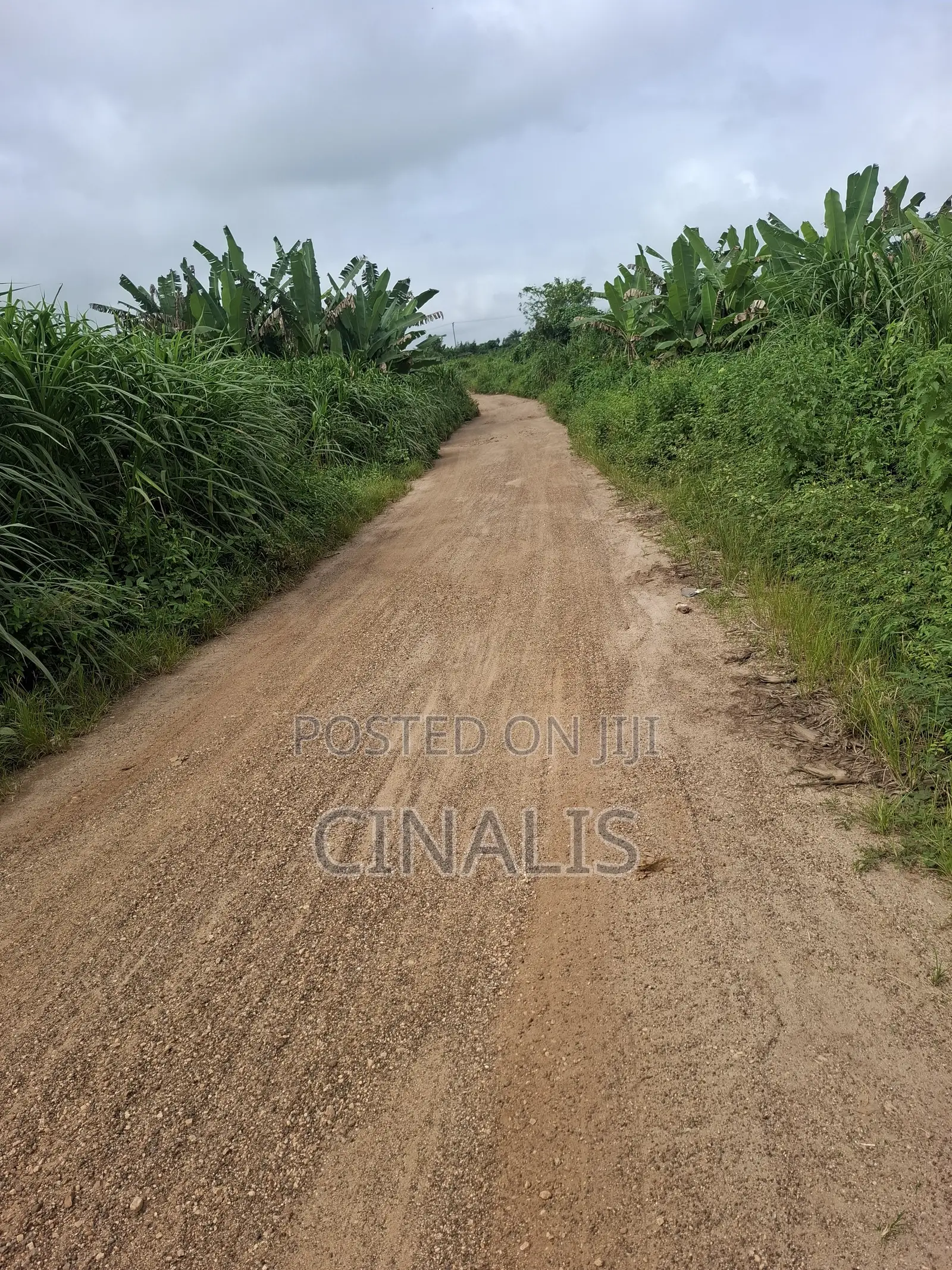 Mixed-Use Land With Deed of Assignment in Ido