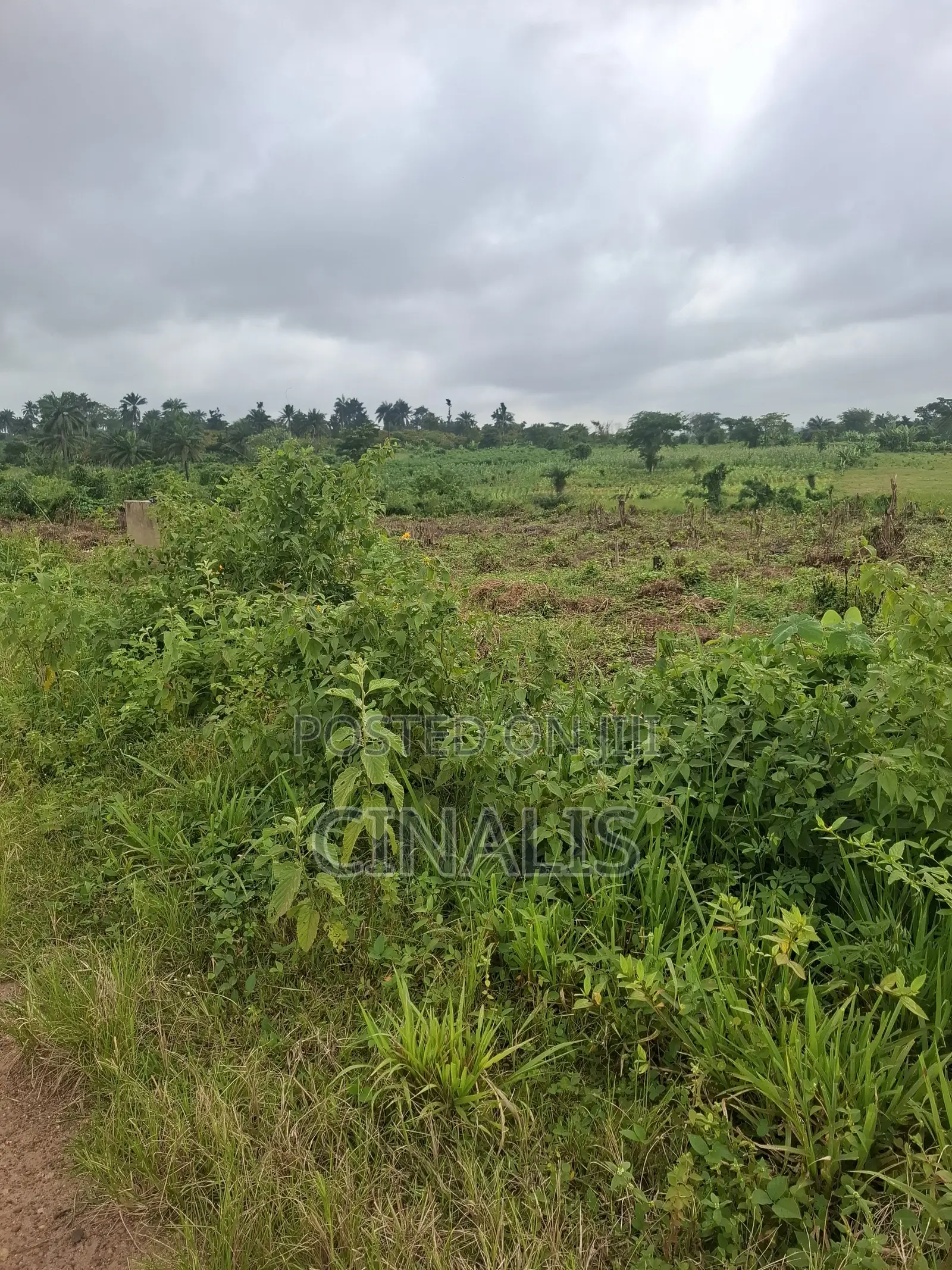 Mixed-Use Land With Deed of Assignment in Ido