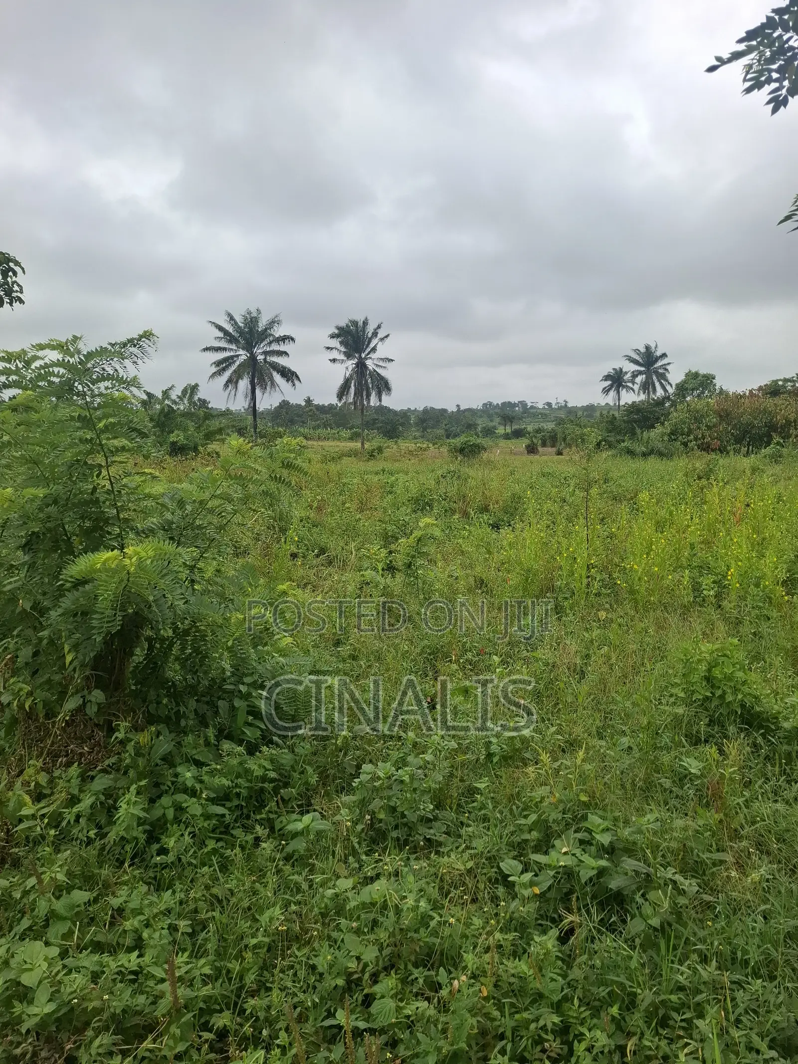 Residential Land With Survey and Deed in Ido