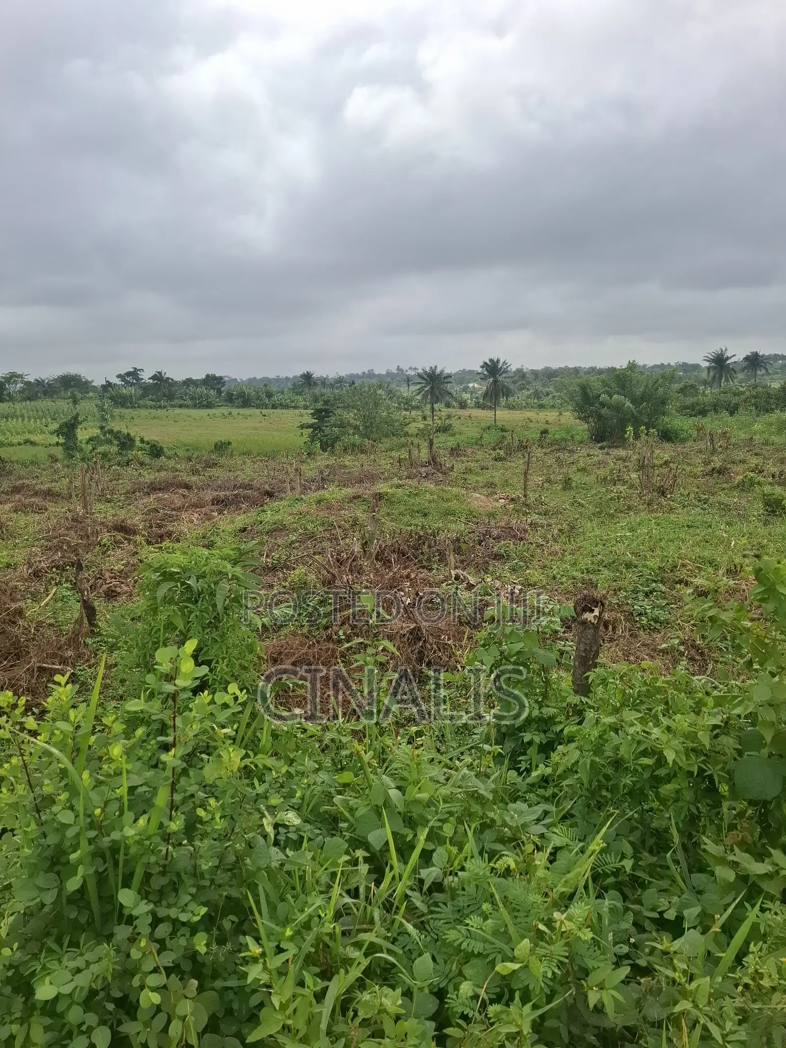 Residential Land With Survey and Deed in Ido