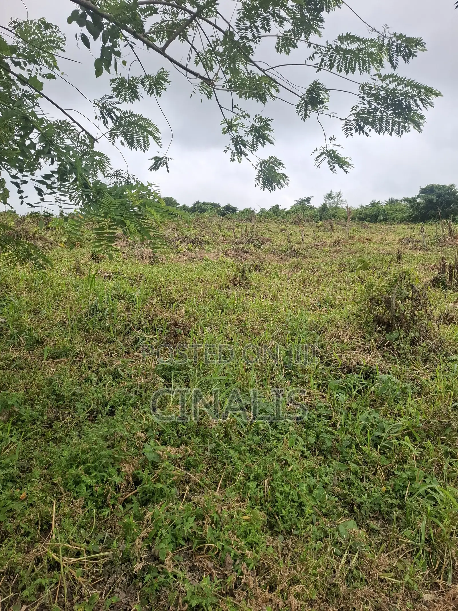 Residential Land With Survey and Deed in Ido