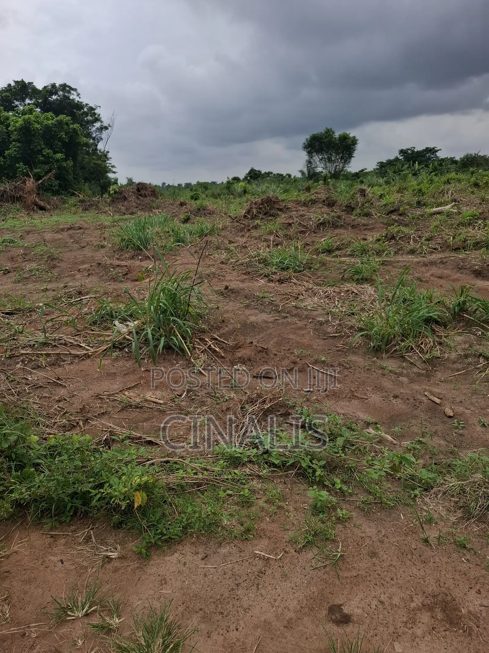 Mixed-Use Land With C of O in Ido