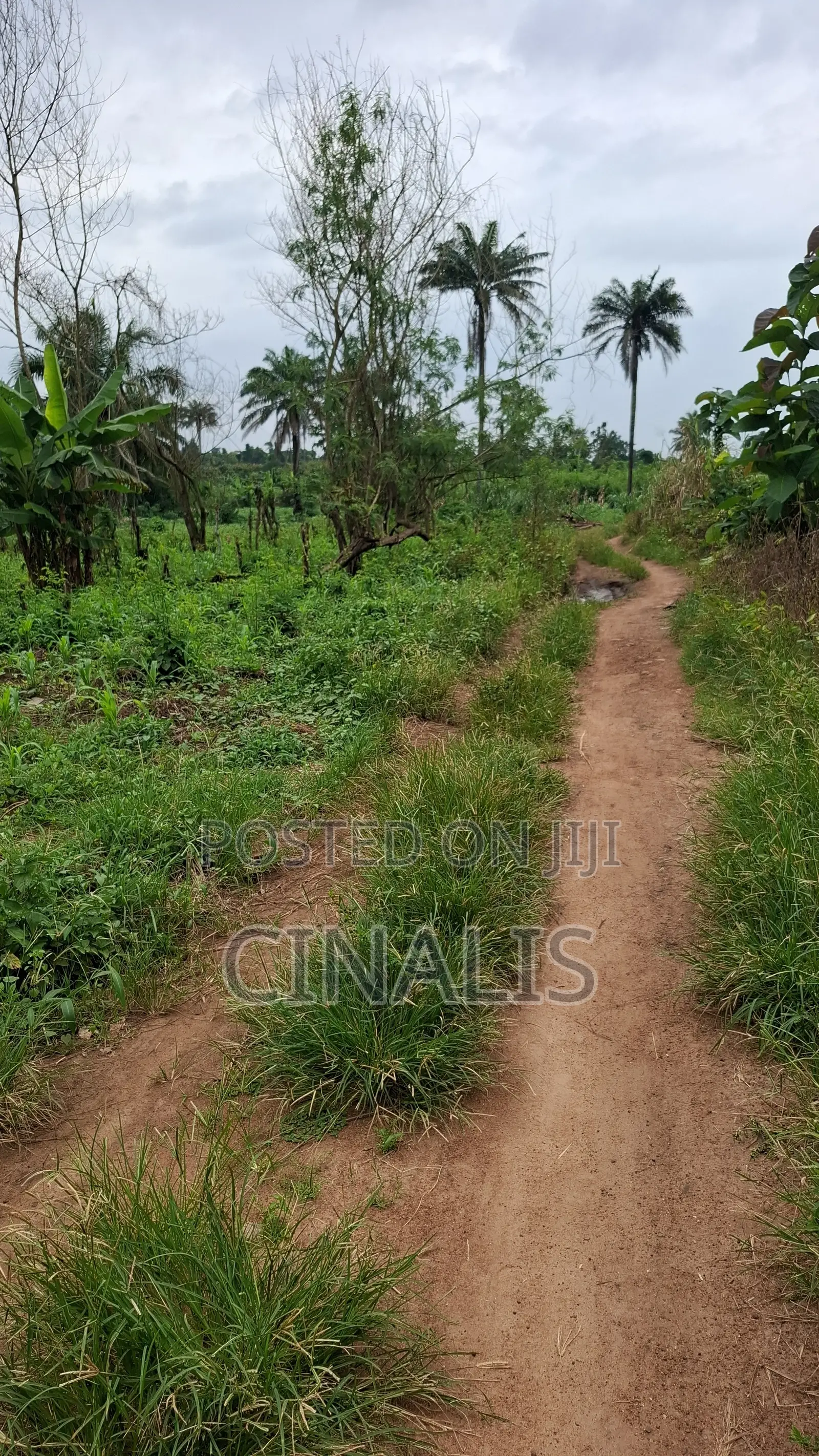 Mixed-Use Land With C of O in Ido