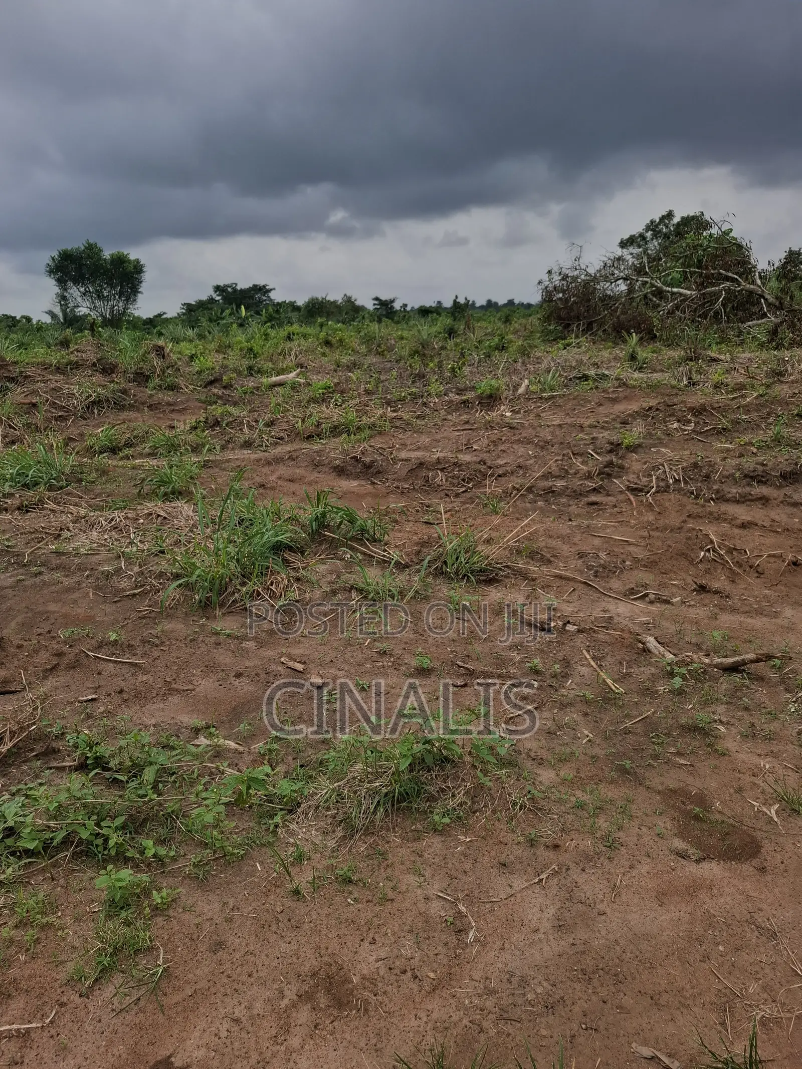 Residential Land With C of O in Ido