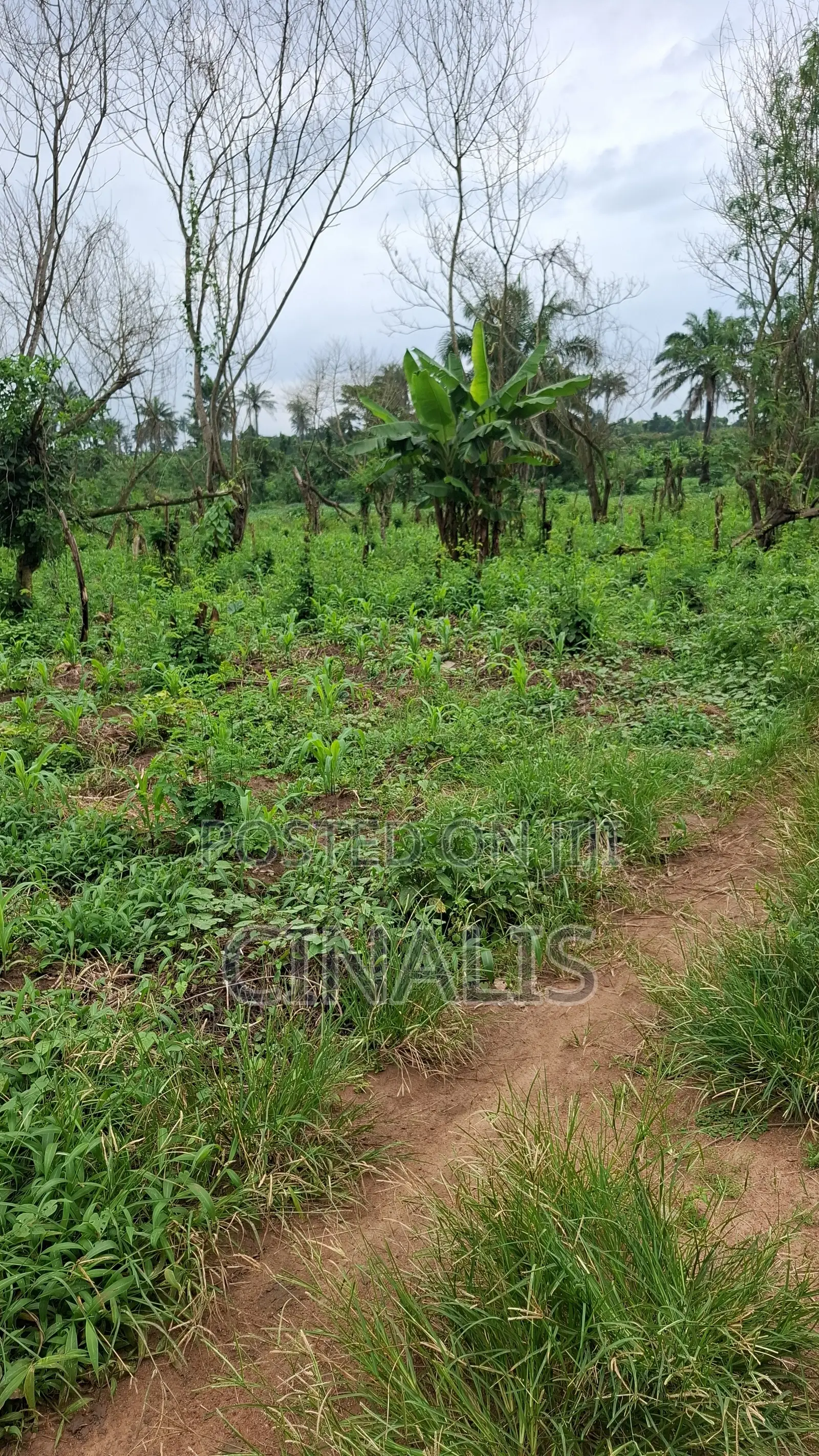Residential Land With C of O in Ido