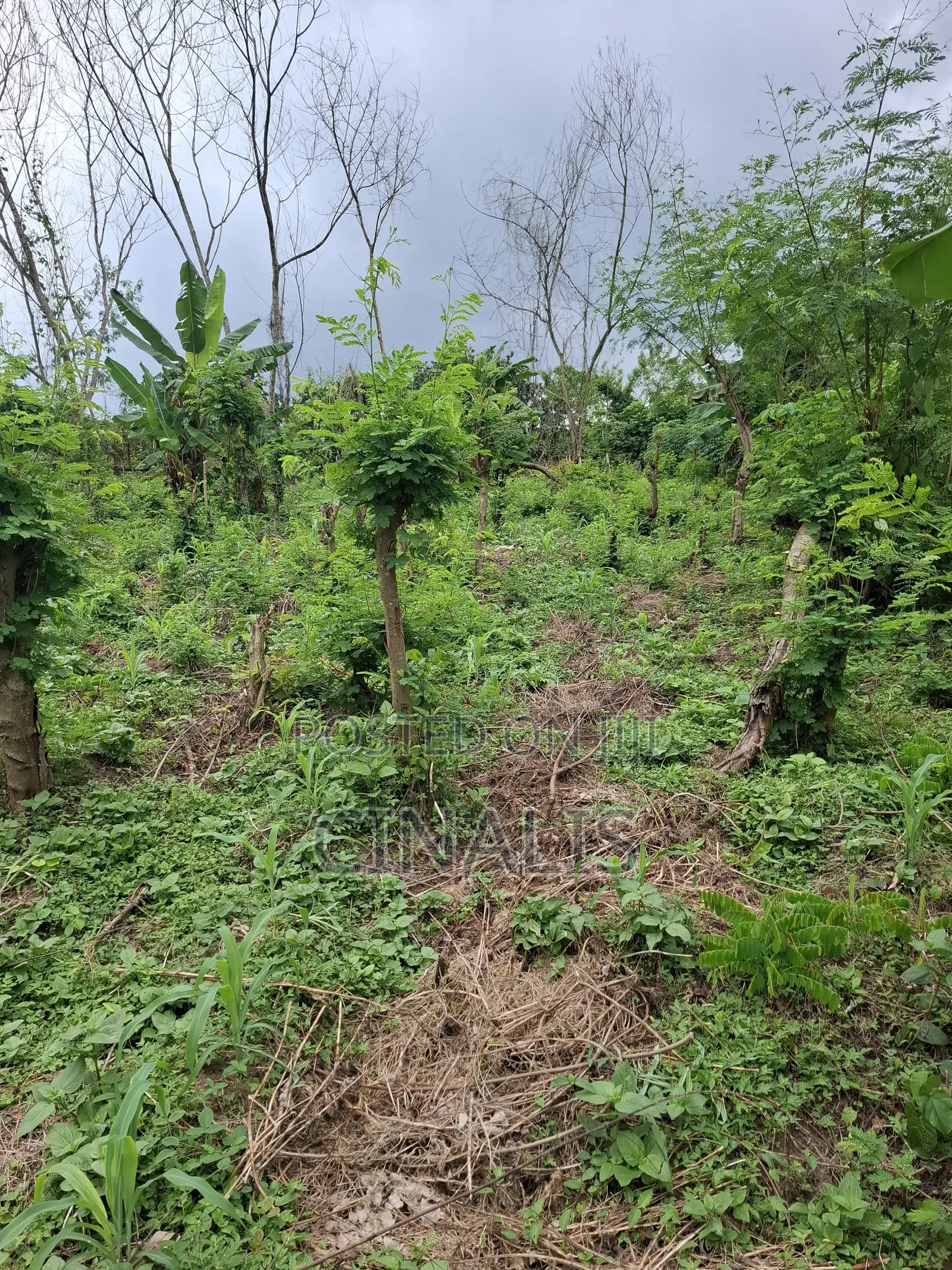 Residential Land With C of O in Ido