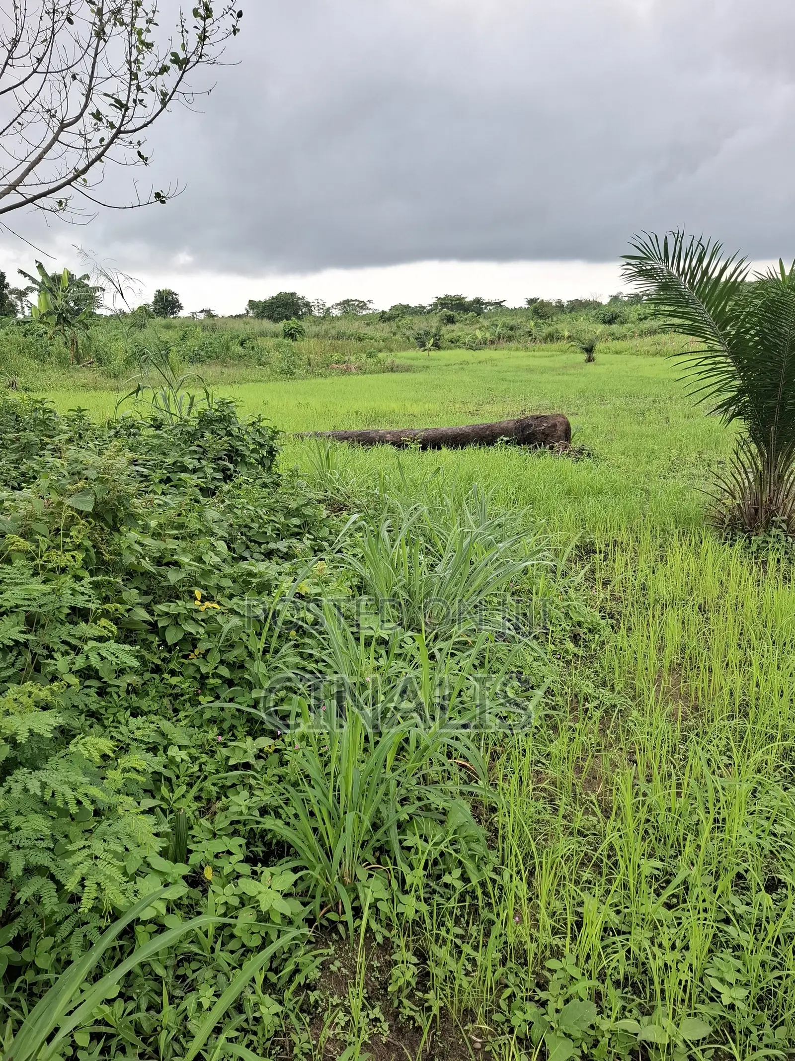 Residential Land With C of O in Ido