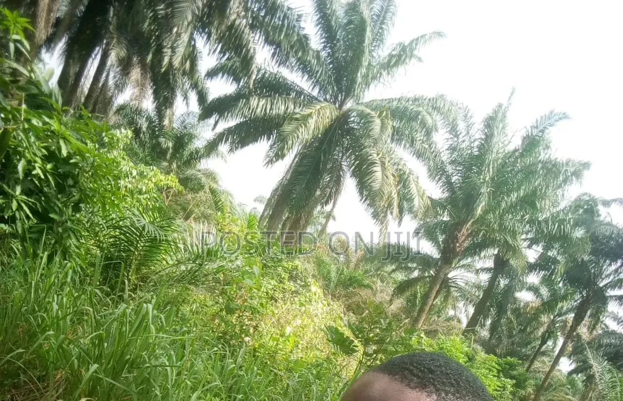 30 Plots of Land for Sale at Owaza. in Ukwa