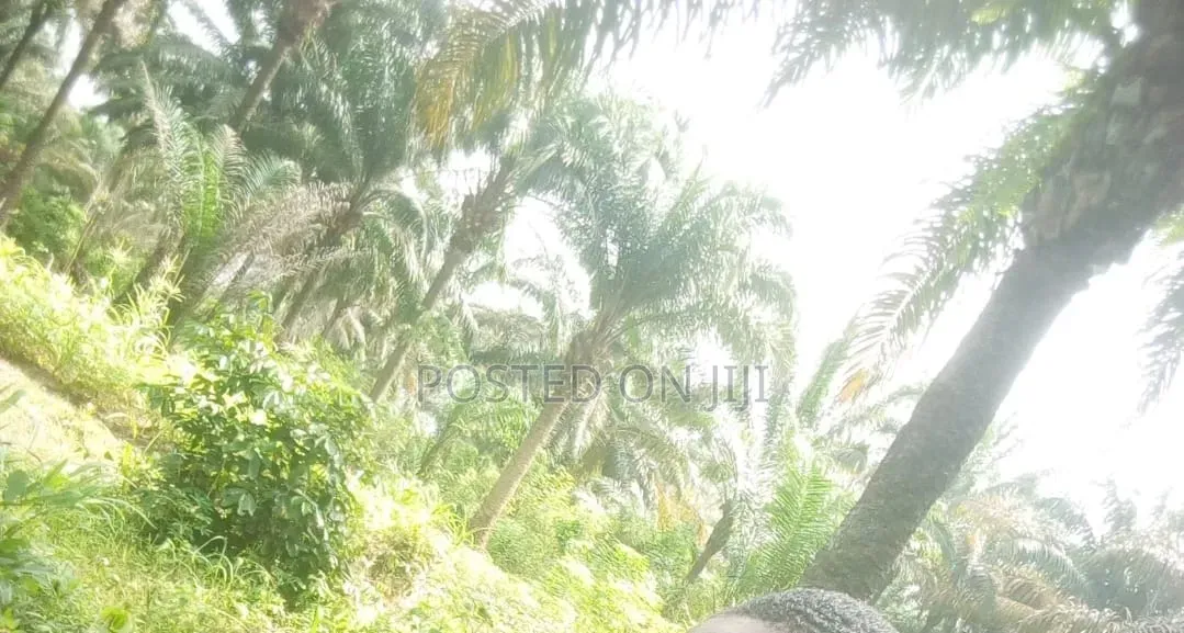 30 Plots of Land for Sale at Owaza. in Ukwa