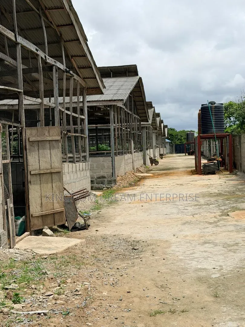 Poultry Farm Badagry Lagos State 500m in Badagry / Badagry