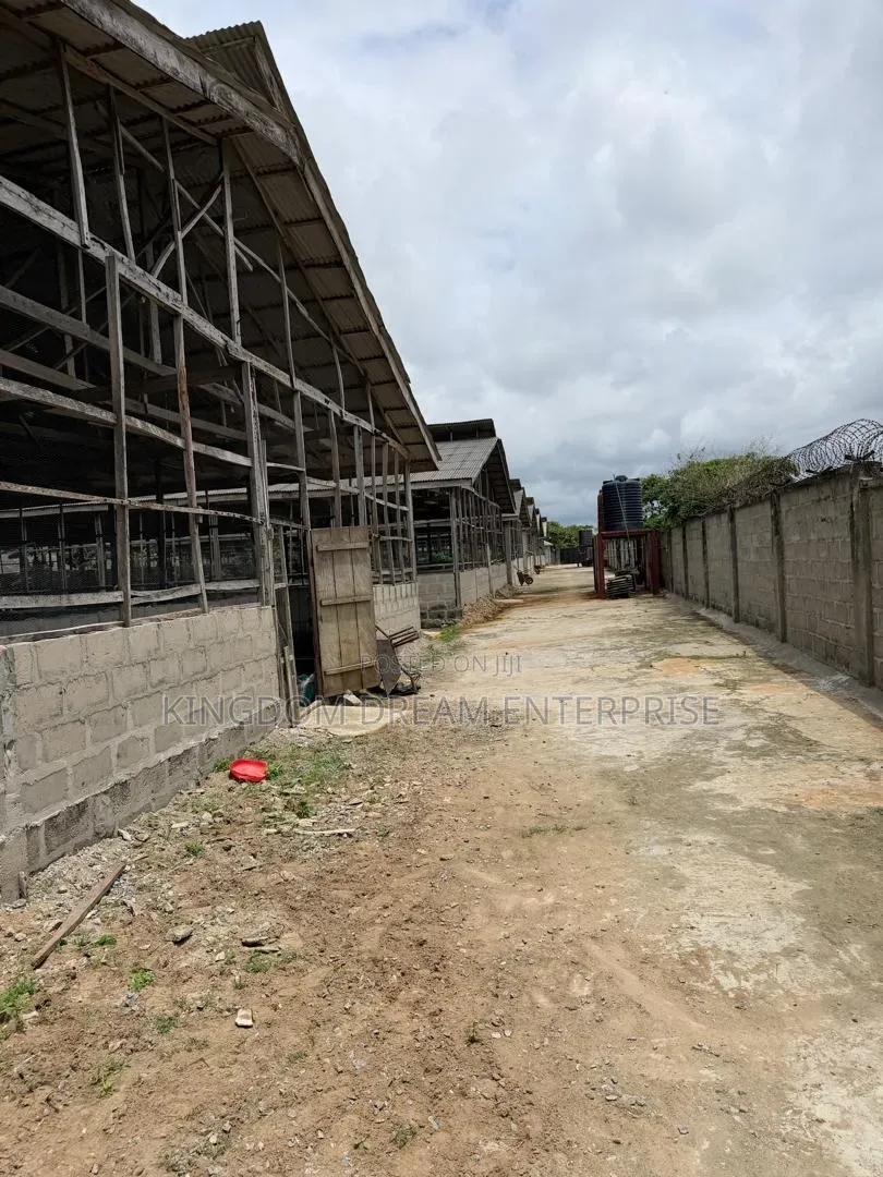 Poultry Farm Badagry Lagos State 500m in Badagry / Badagry