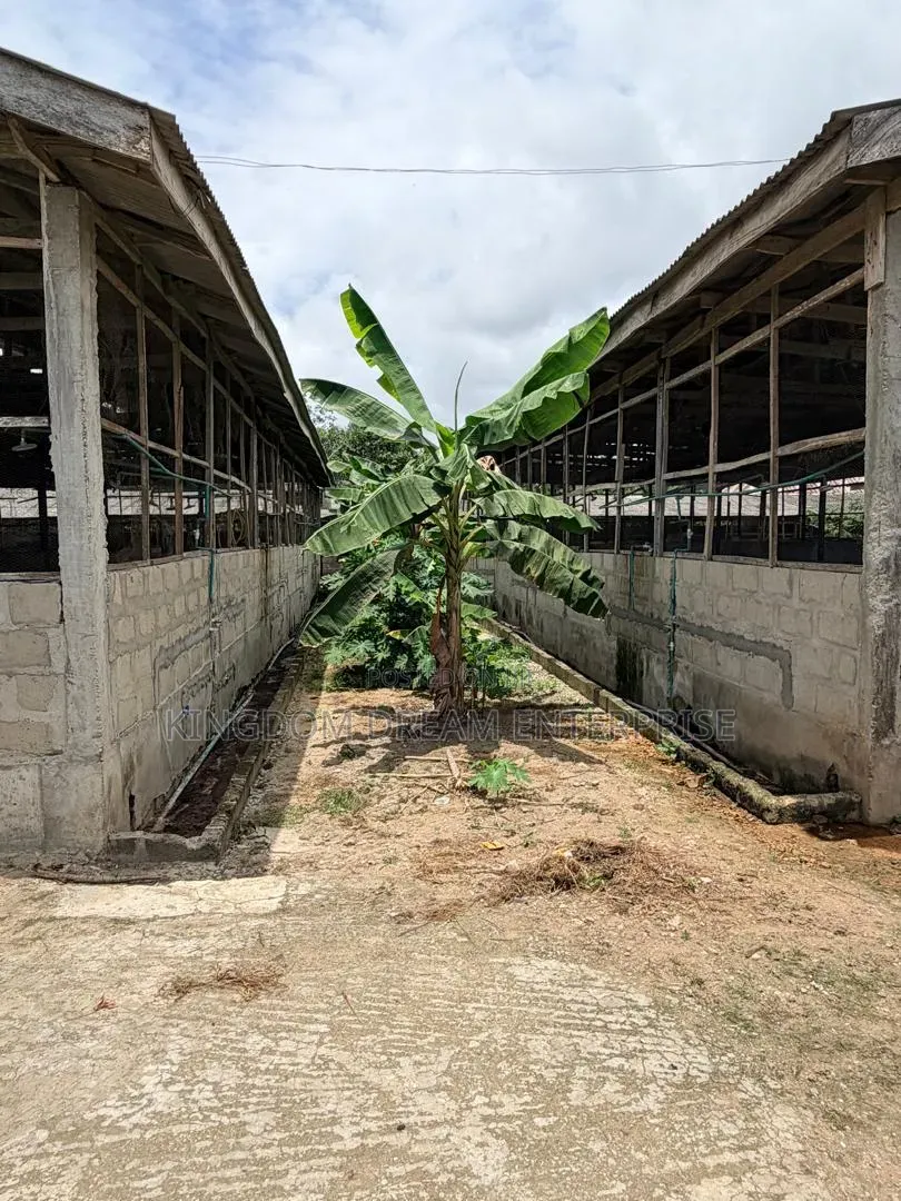 Poultry Farm Badagry Lagos State 500m in Badagry / Badagry
