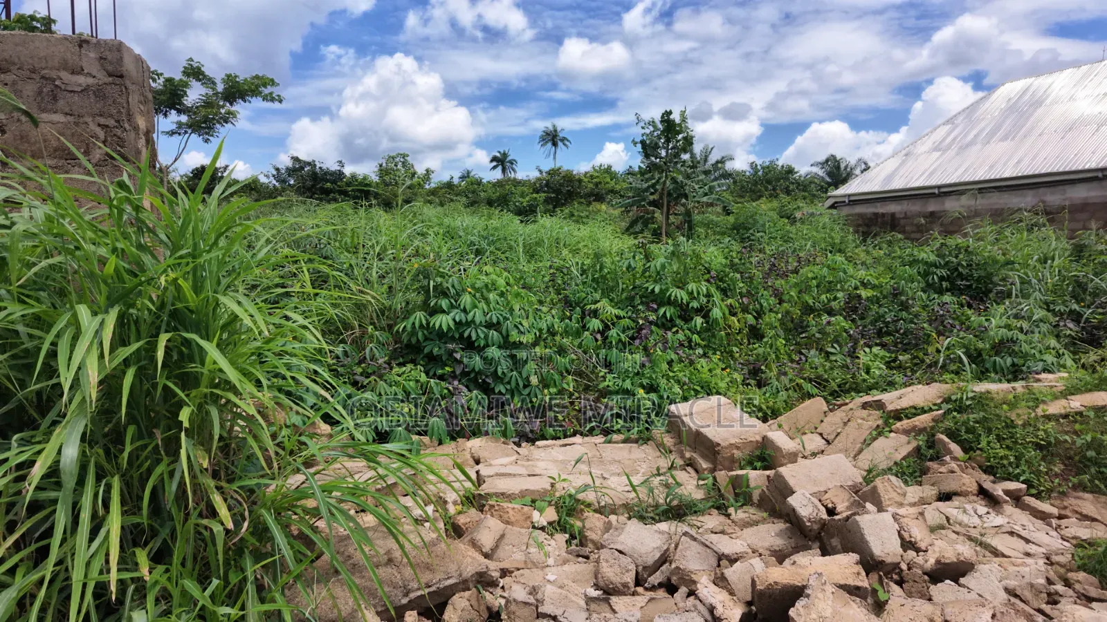 1 Plot of Land — Umuahia in Umuahia