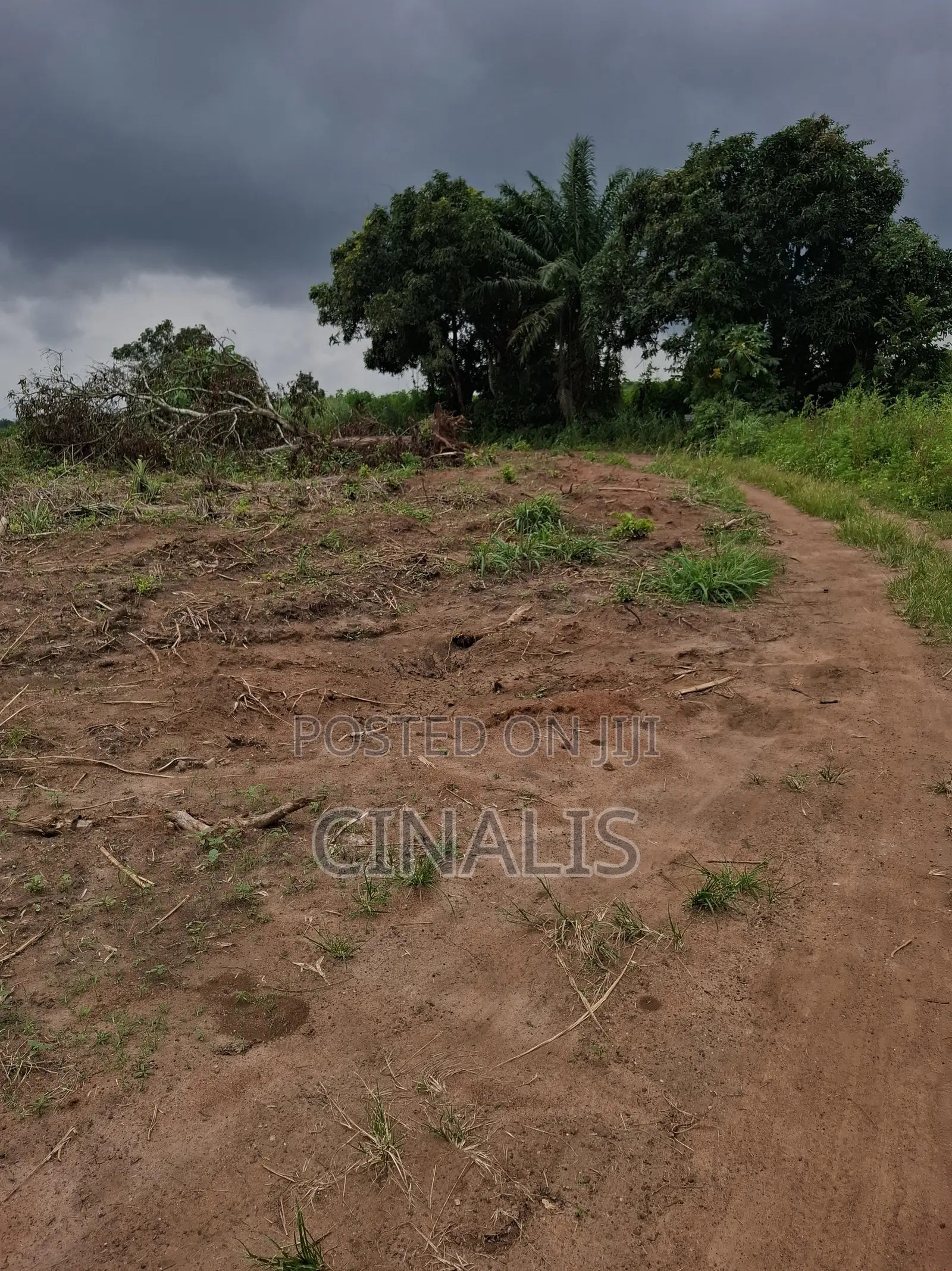 Affordable Plot of Land With C of O in Ido