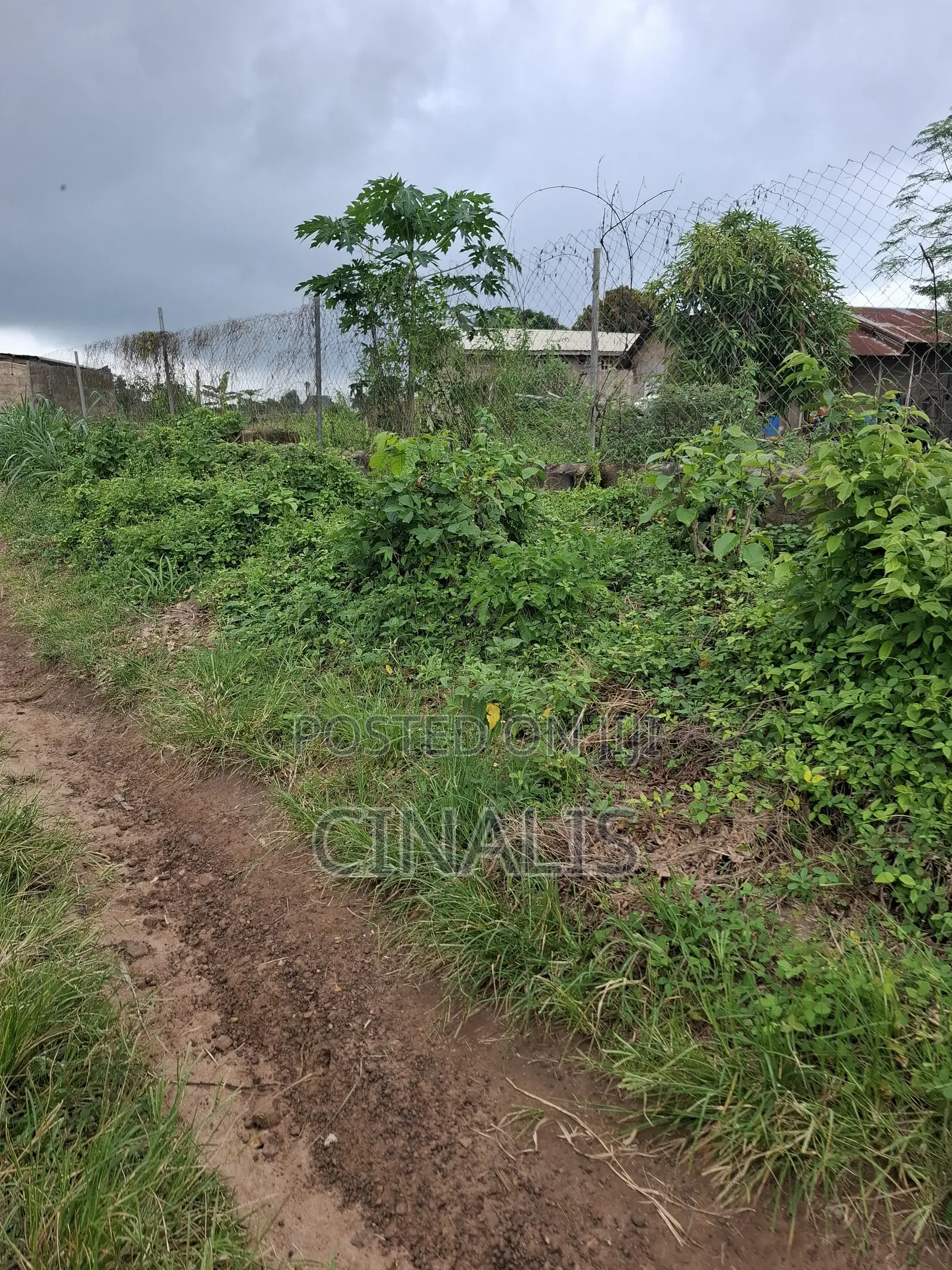 Affordable Plot of Land With C of O in Ido