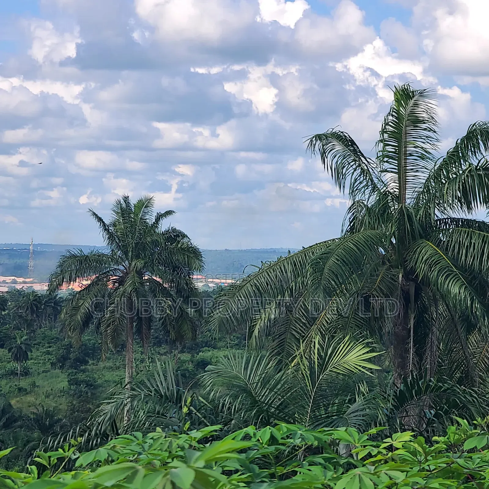 Plots of Land in Umuahia