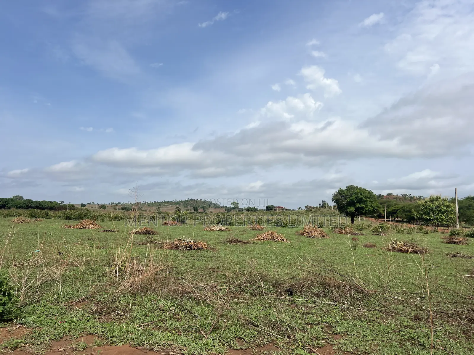 Apo Waru Estate Plots in Apo District