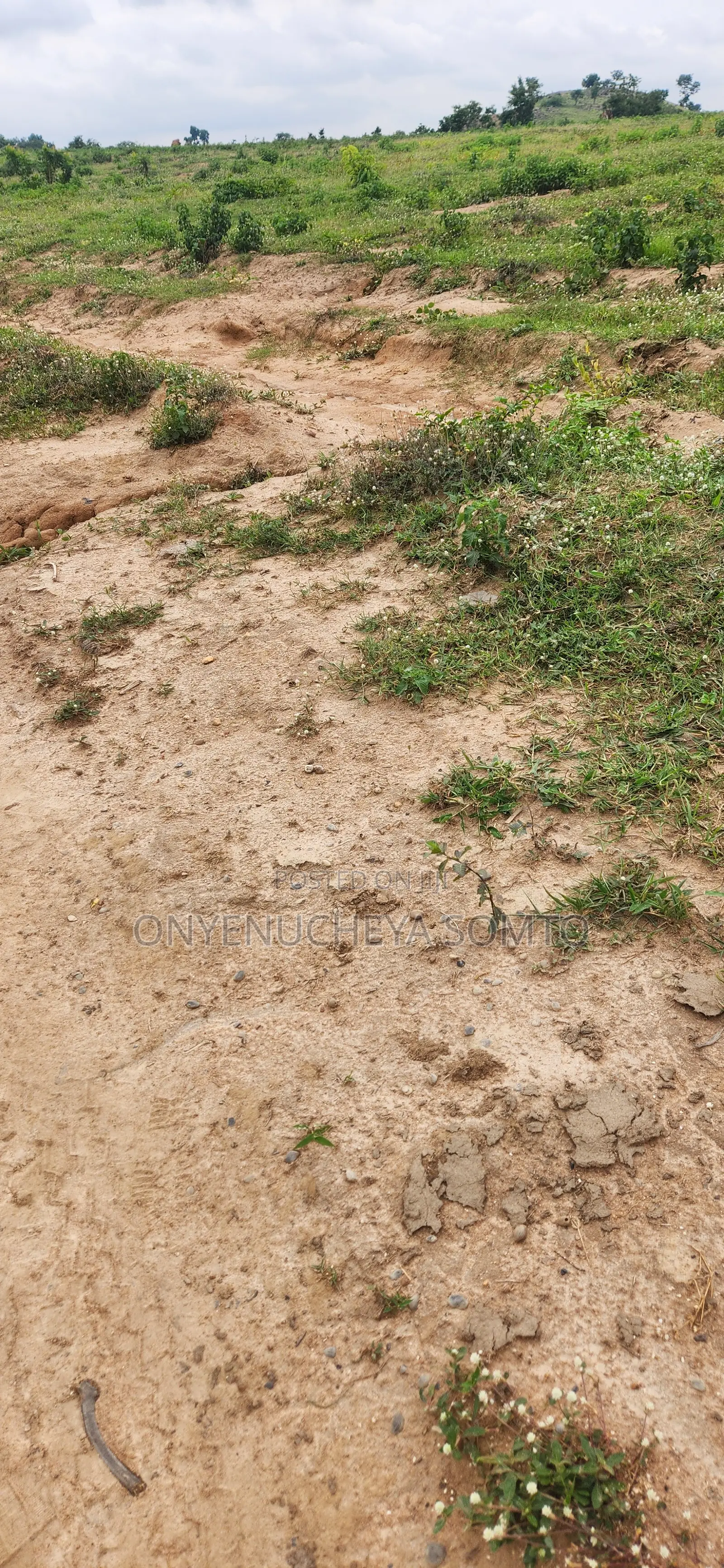 250SQM Estate Land With C of O Title Document in Pyakasa