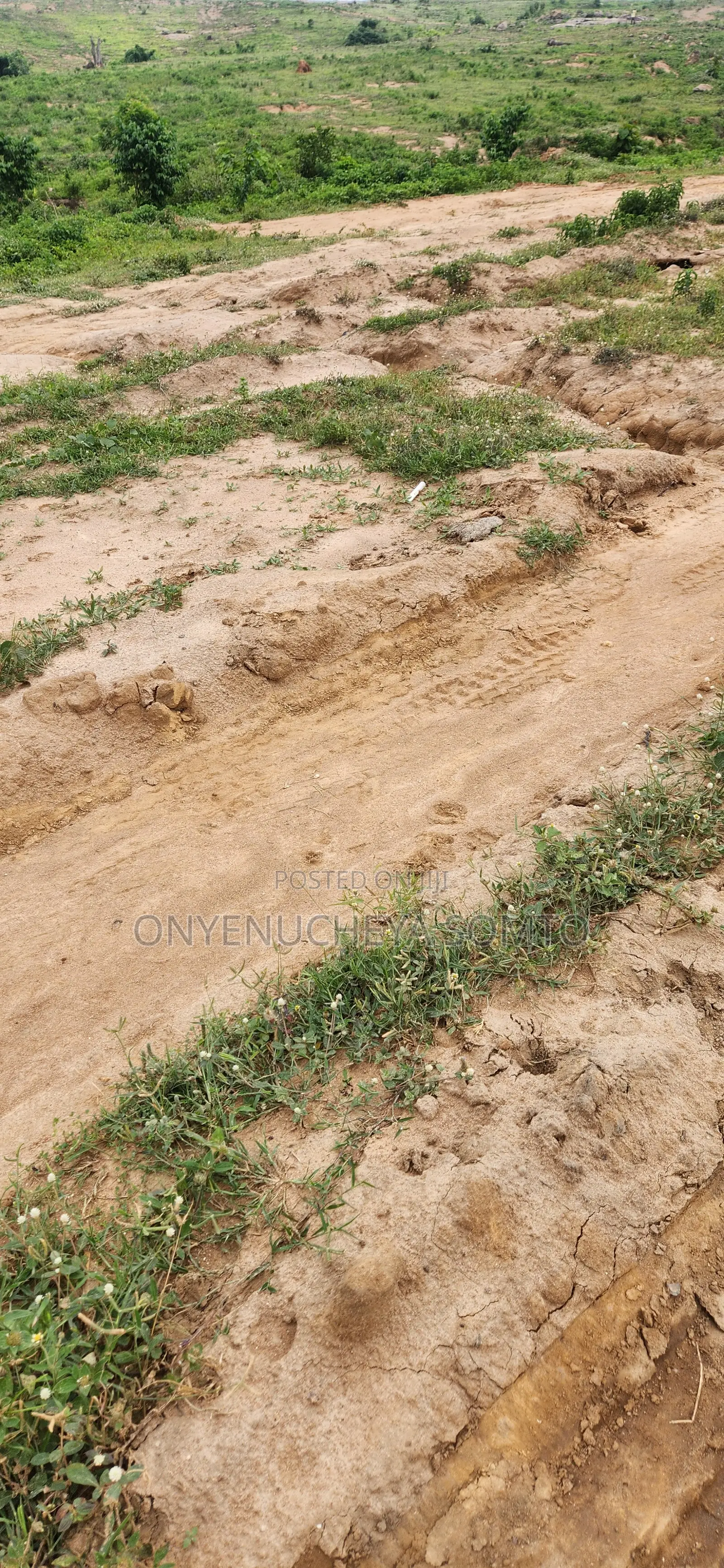250SQM Estate Land With C of O Title Document in Pyakasa