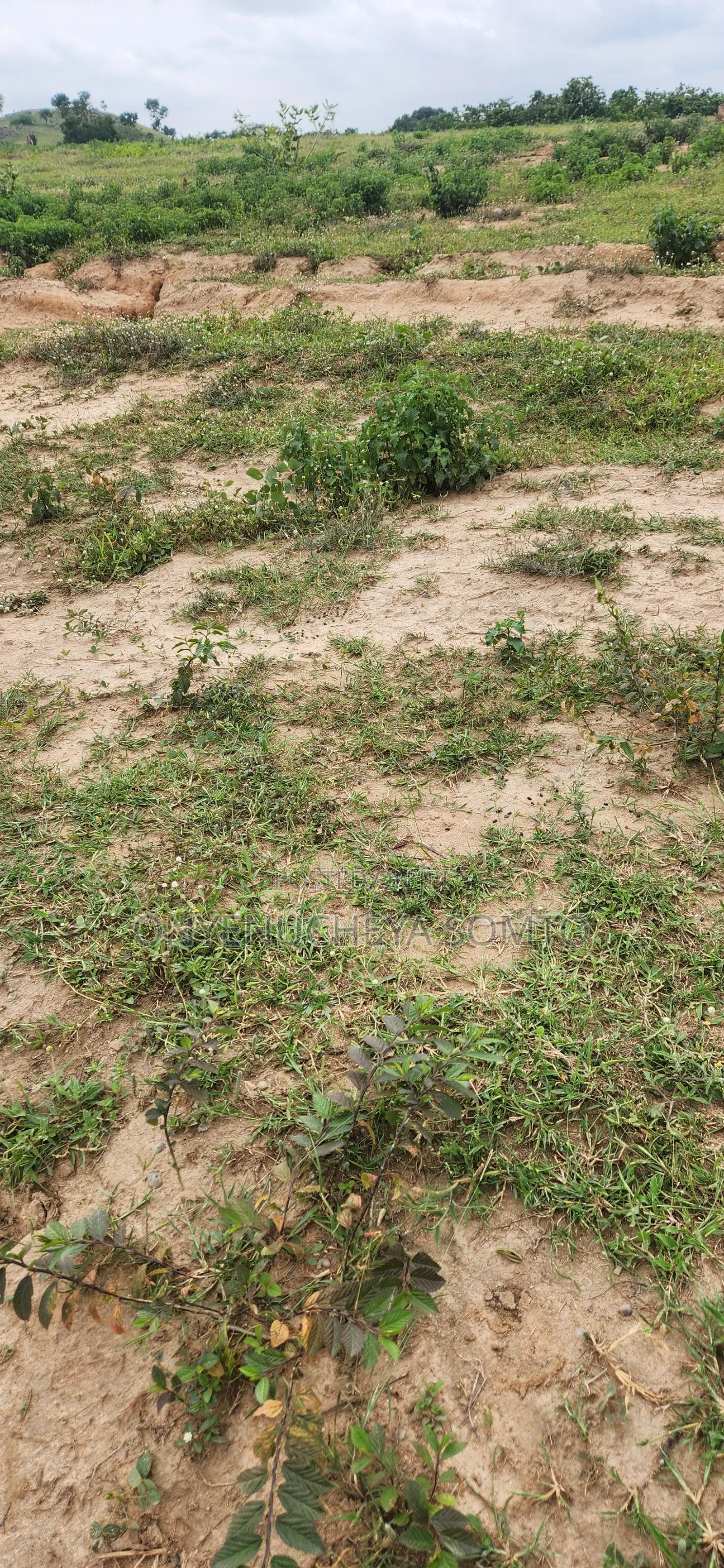 150SQM Estate Land for 3-Bedroom Terrace Duplex With C of O in Pyakasa