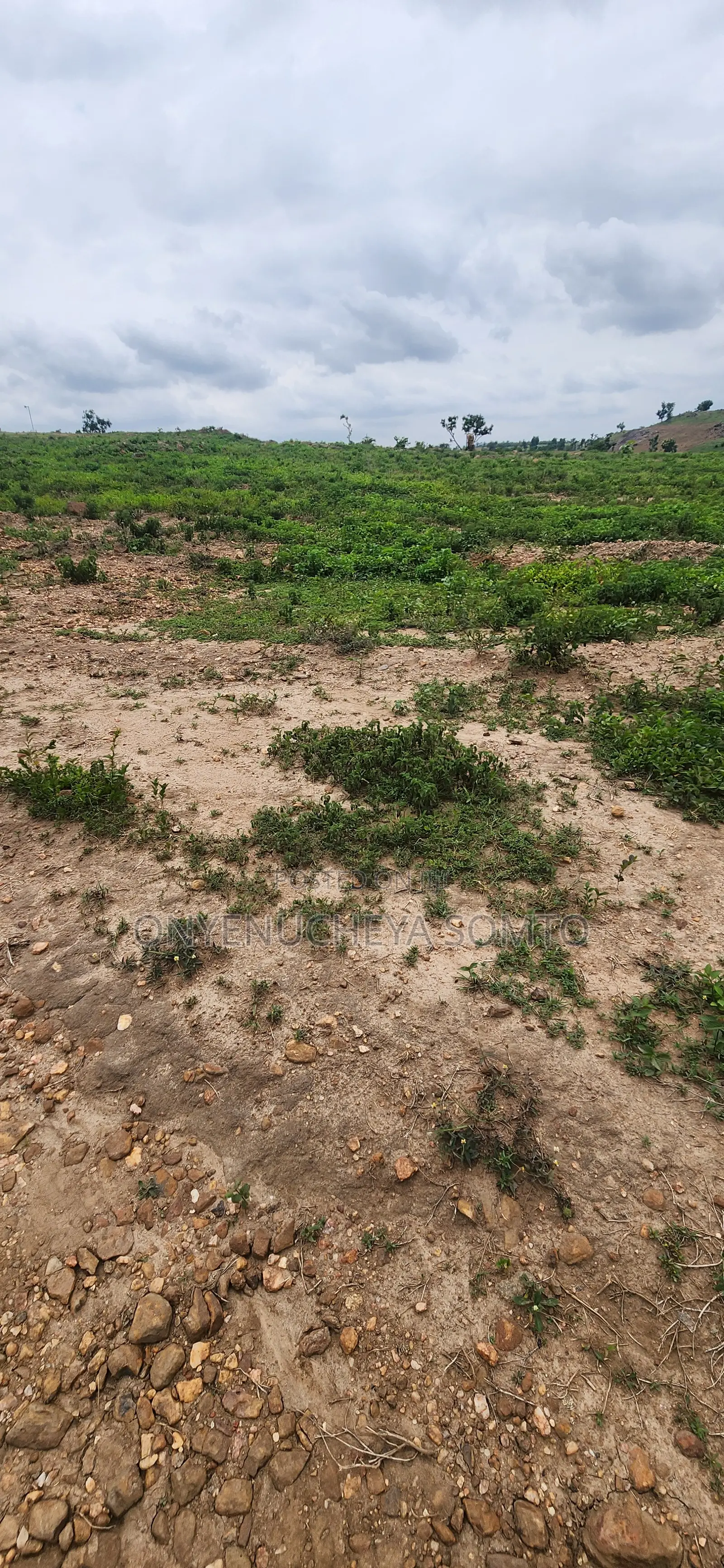 500SQM Estate Plot With C of O Title Document in Pyakasa