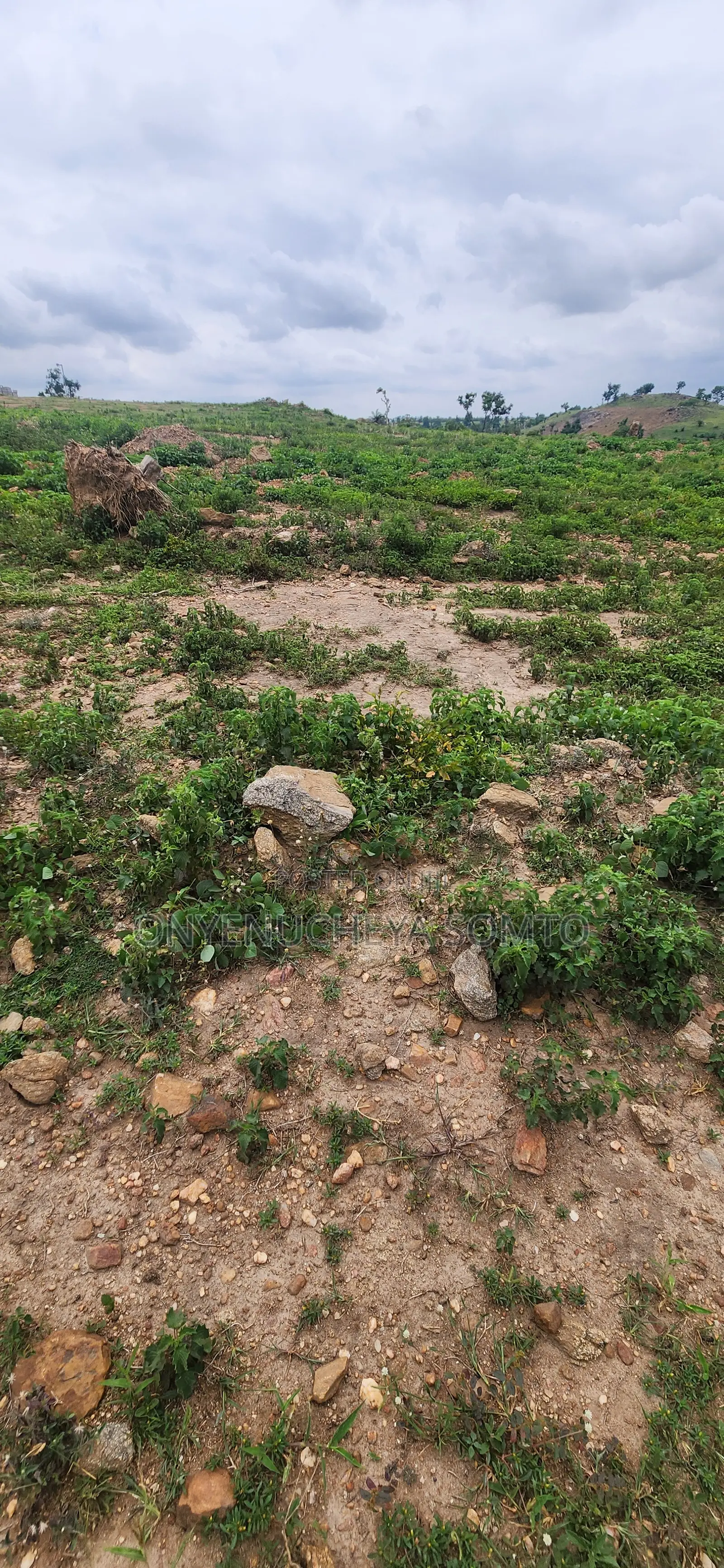 500SQM Estate Plot With C of O Title Document in Pyakasa