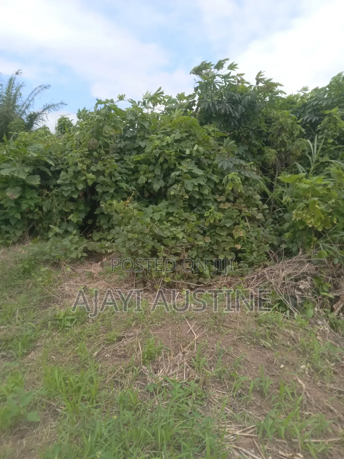 900 Square Meters Land Kaura for Sale in Kaura
