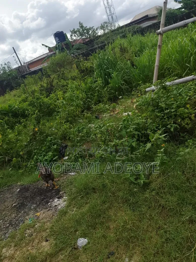 A Plot of Land at Elerangbe Ibeju Lekki in Elerangbe