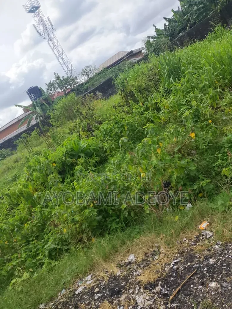 A Plot of Land at Elerangbe Ibeju Lekki in Elerangbe