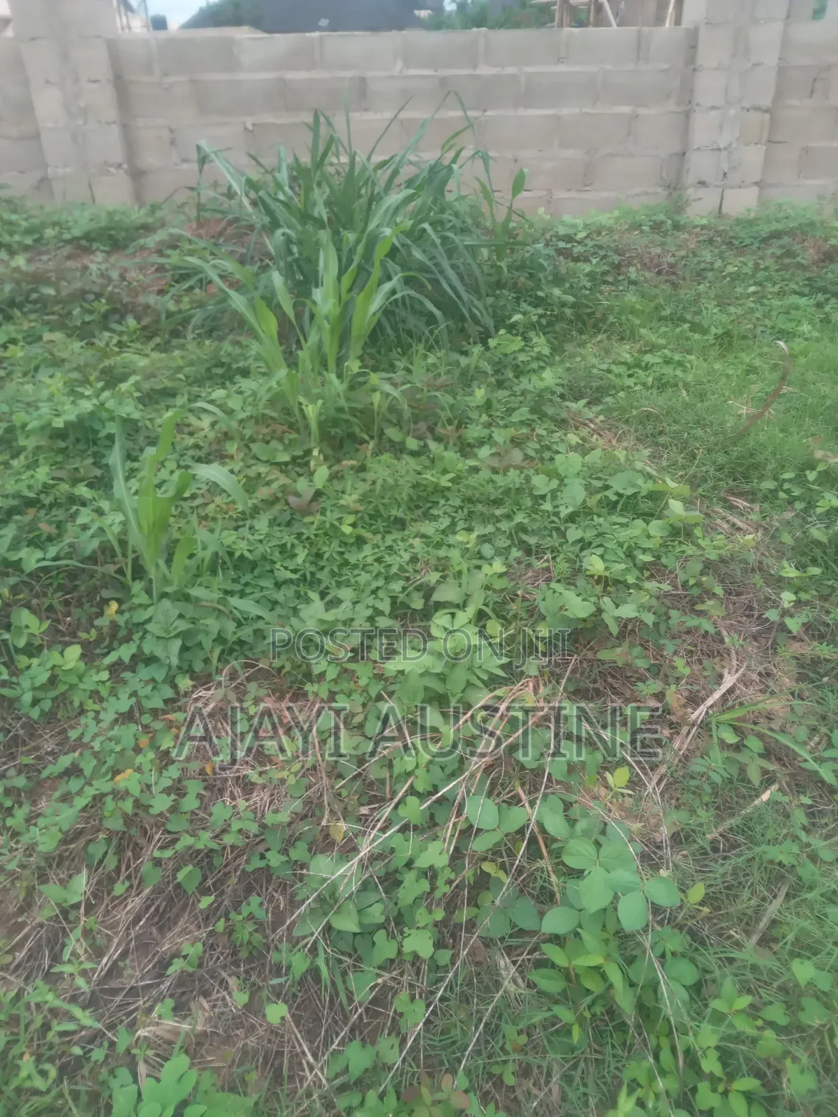 1,320 Square Meters Land at Kaura for Sale in Kaura