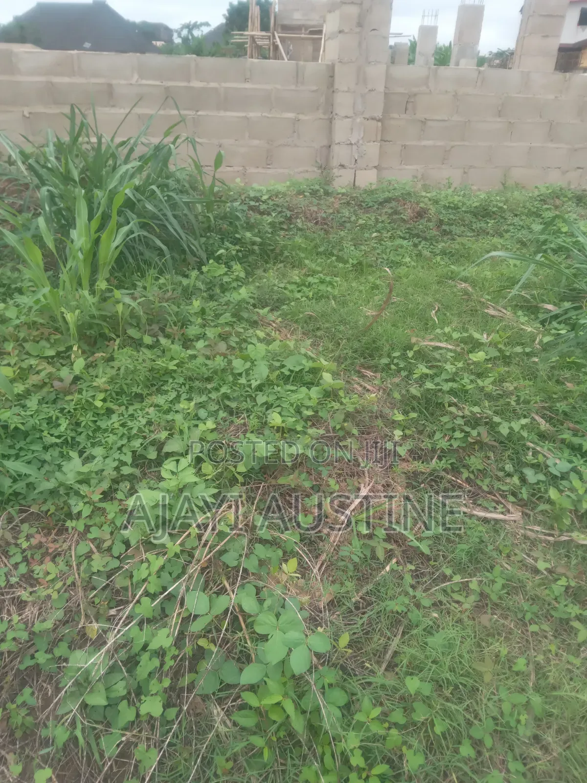 1,320 Square Meters Land at Kaura for Sale in Kaura