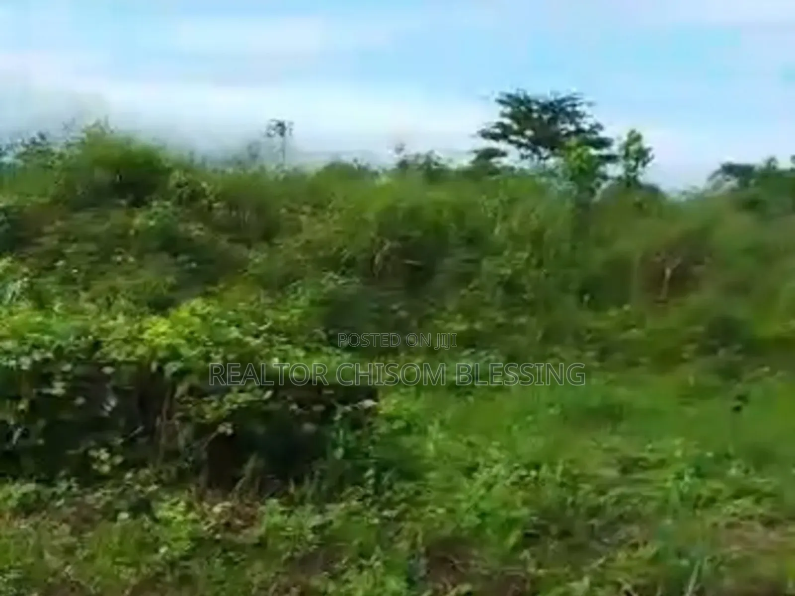 15 Plots for Sale Along Ubani Uzuakoli Road Umuahia in Umuahia