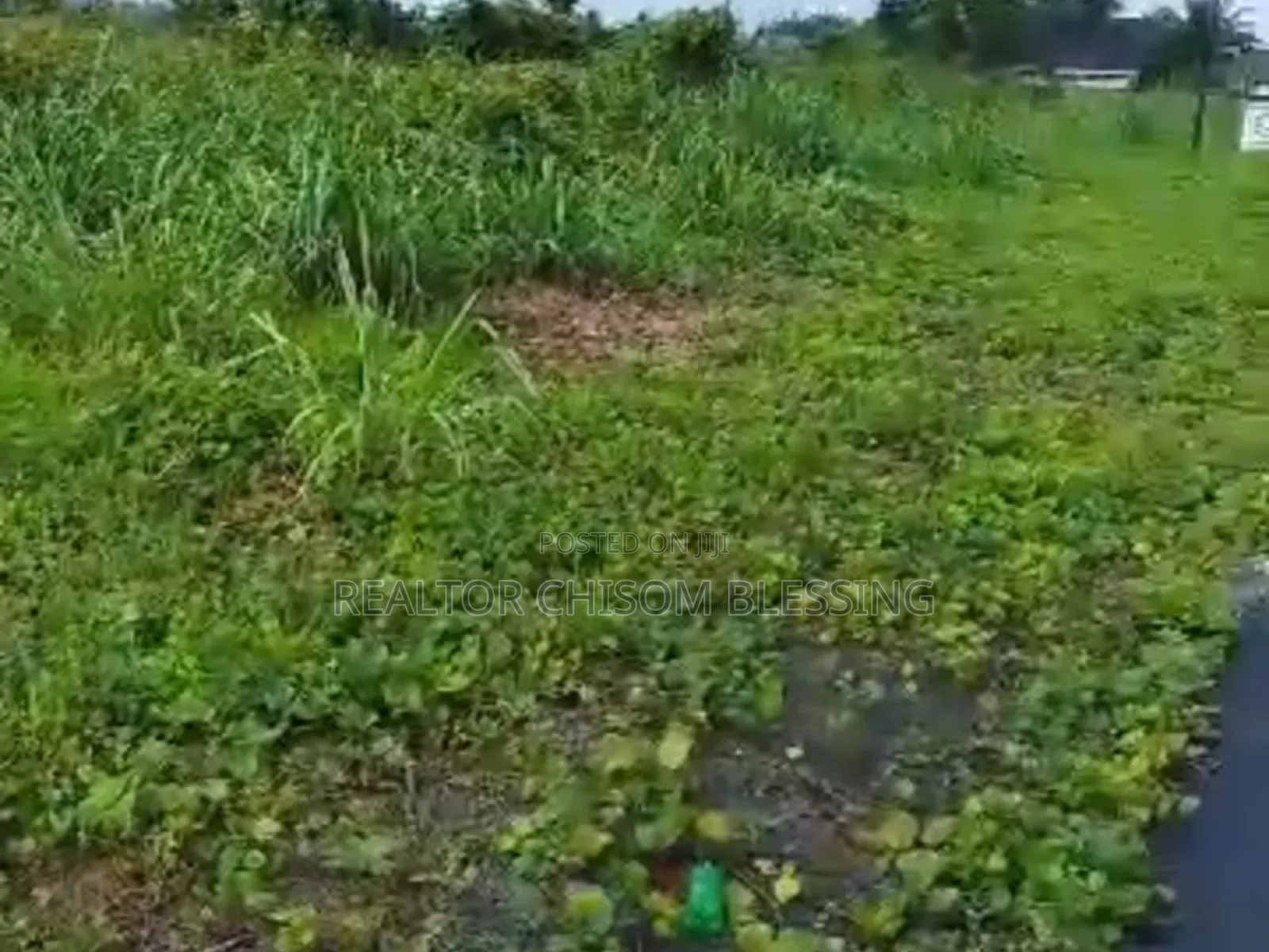15 Plots for Sale Along Ubani Uzuakoli Road Umuahia in Umuahia