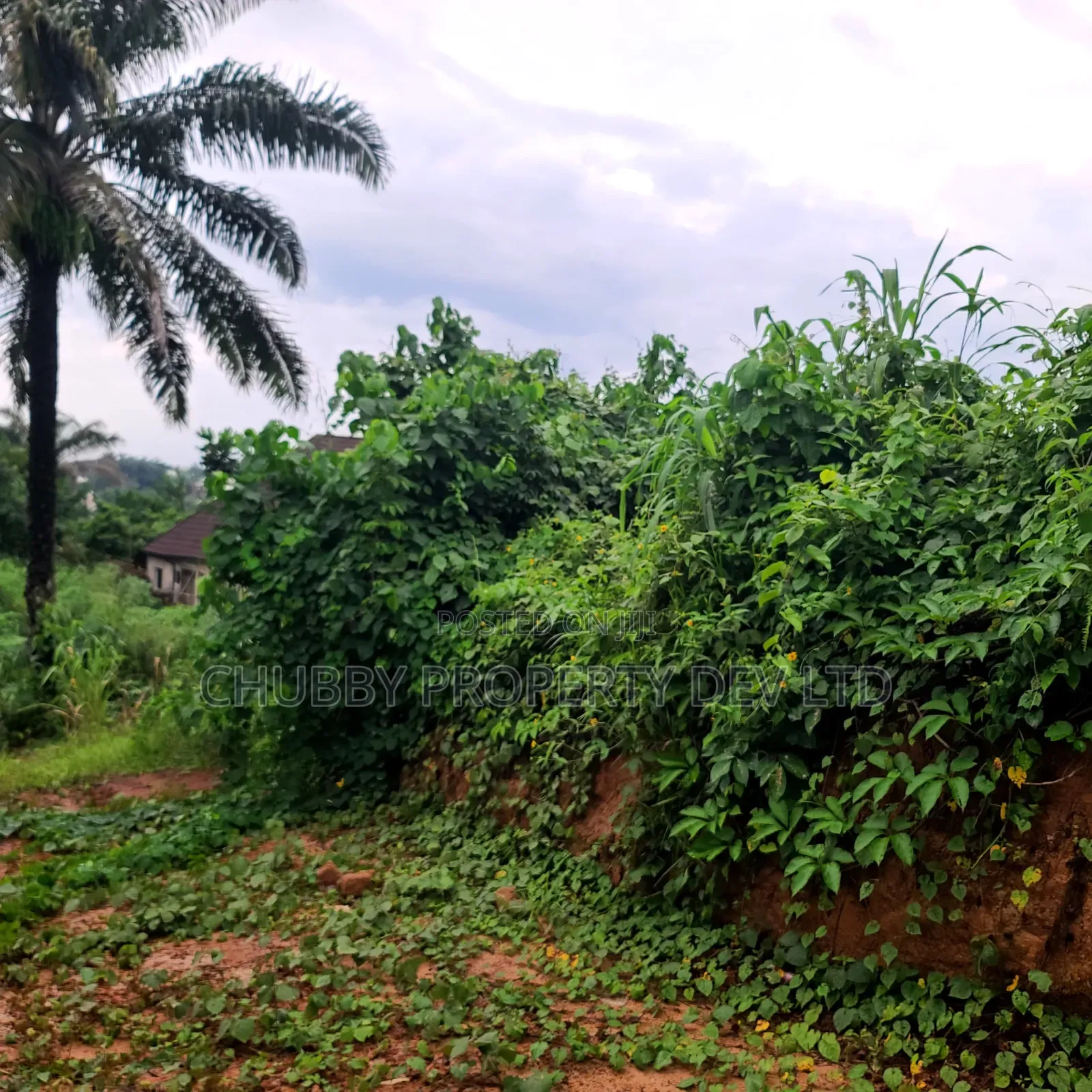 Plot for Sale in Umuahia