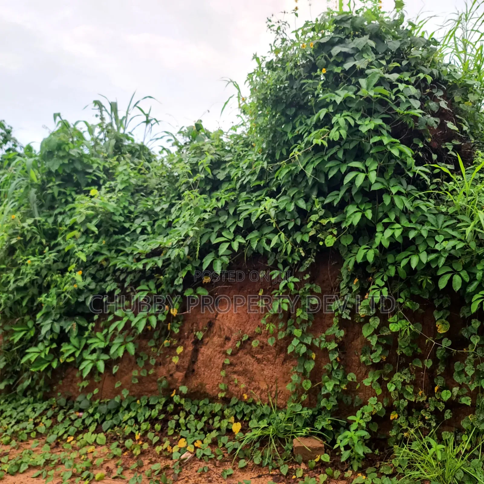 Plot for Sale in Umuahia