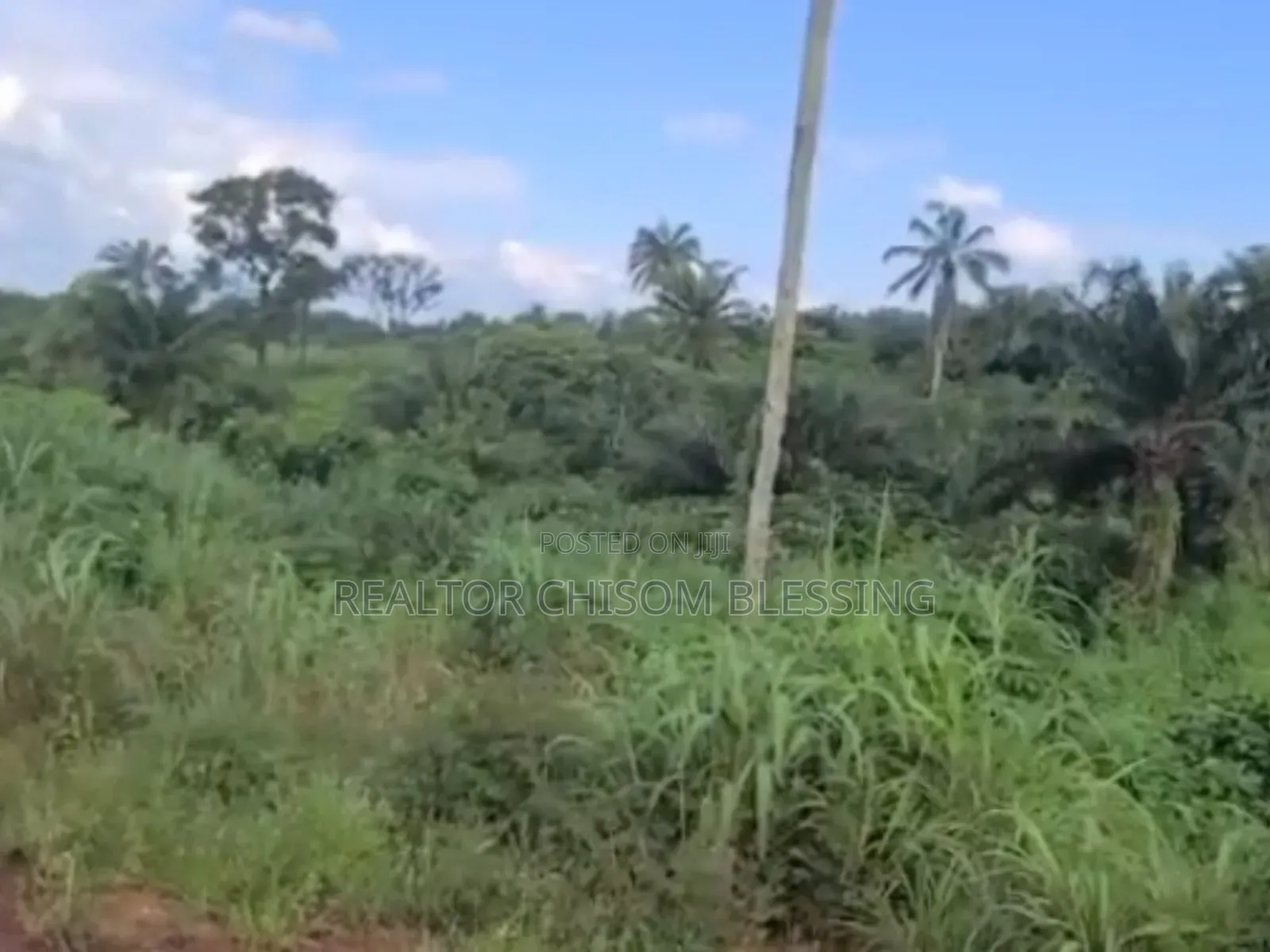 41 Plots for Sale at Agbo Ibeku, Umuahia, Abia State in Umuahia